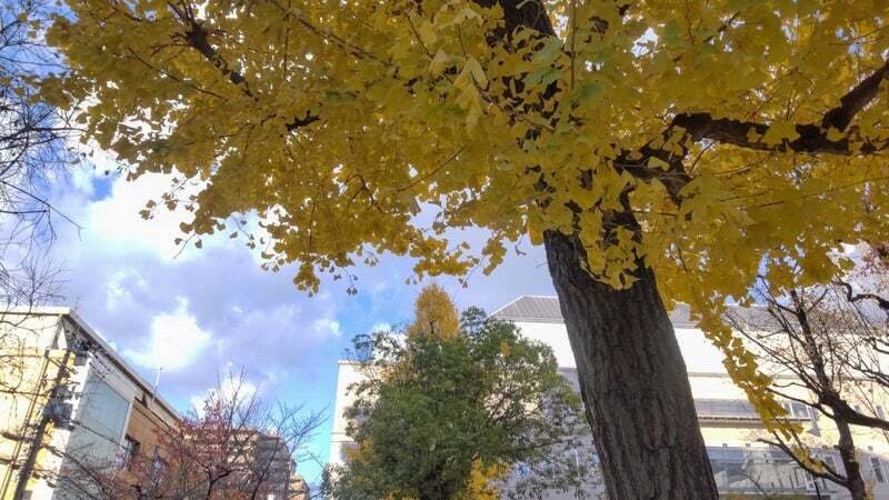 まとめ】チバユウスケさんの音楽の世界 〜ミッシェルガンエレファント