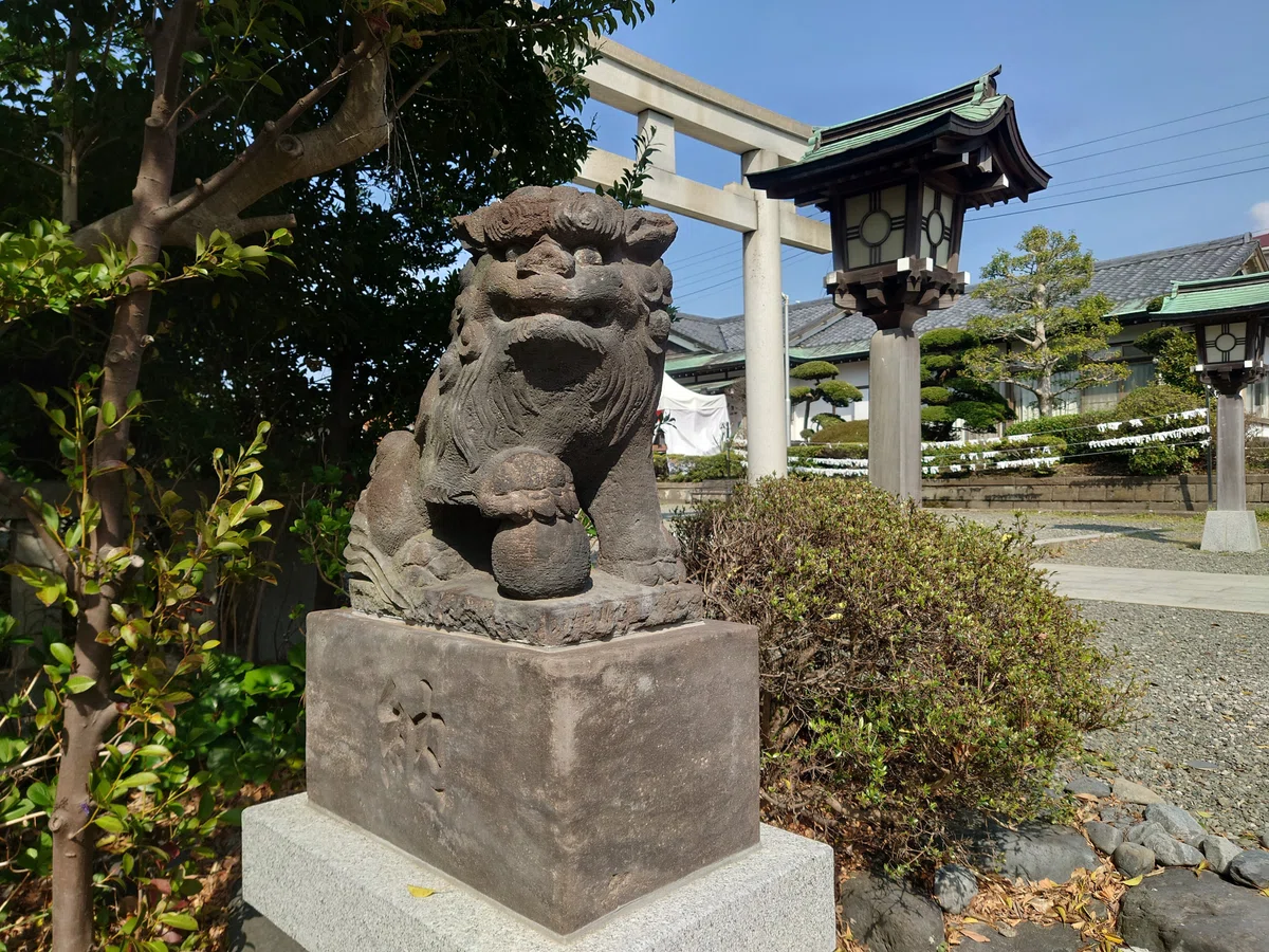 画像