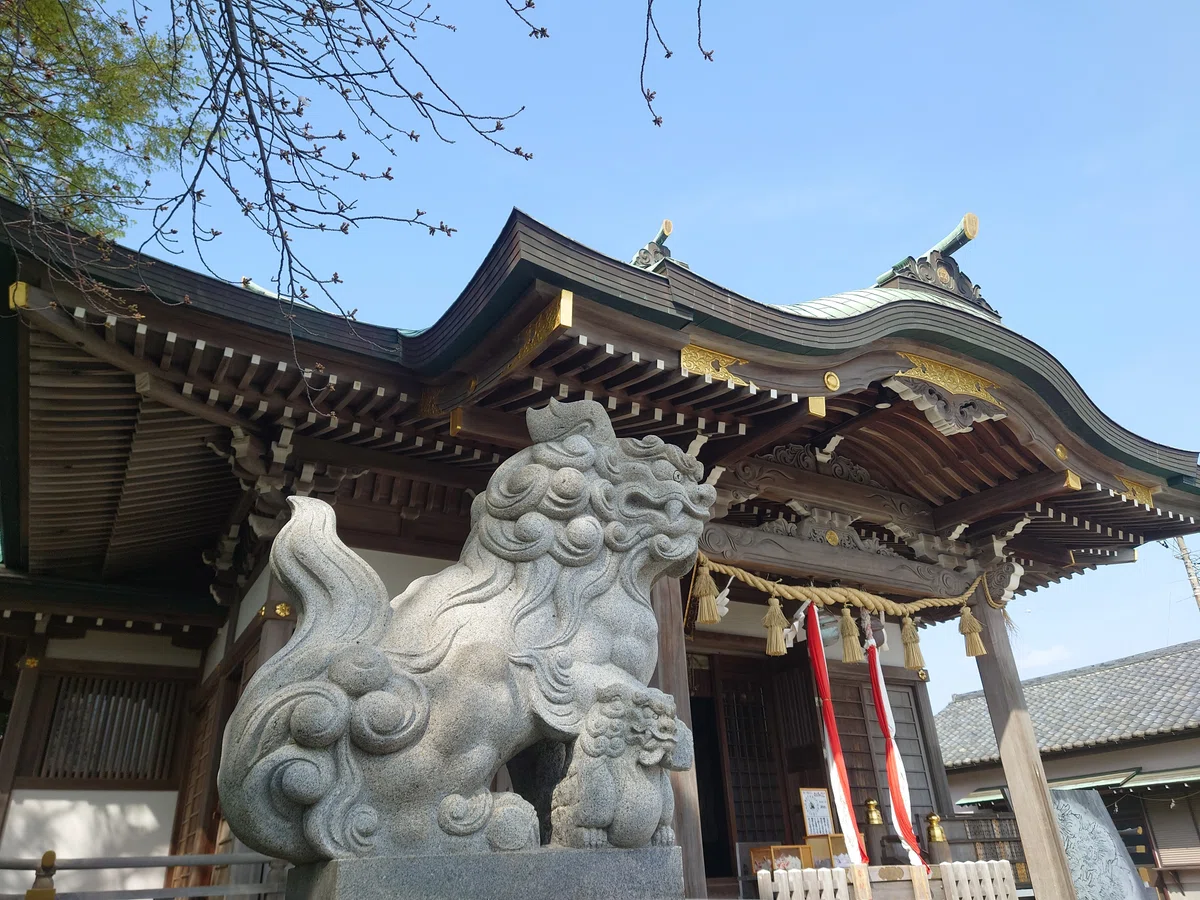 画像