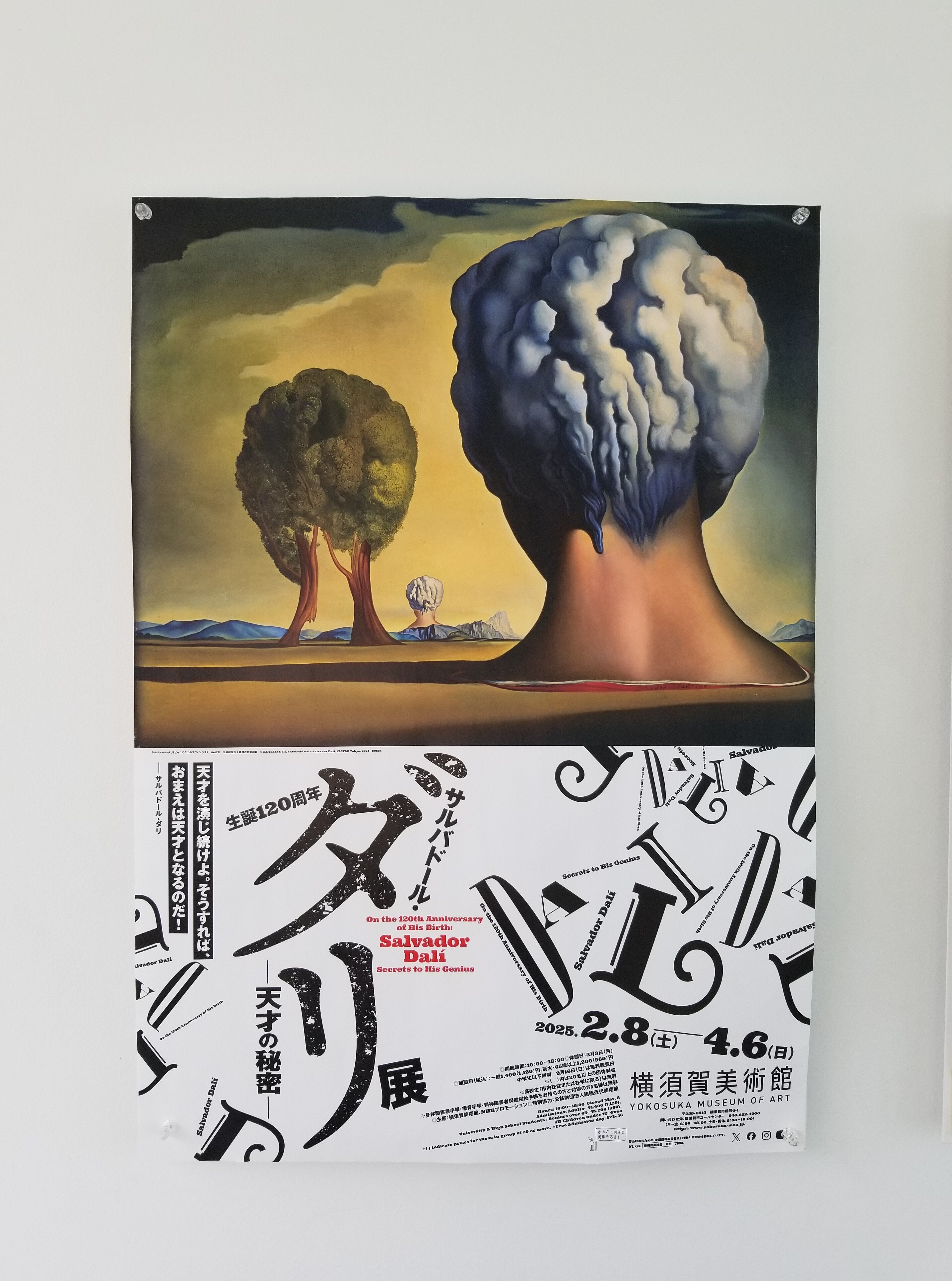 サルバドール・ダリ展@横須賀美術館｜柿ピー