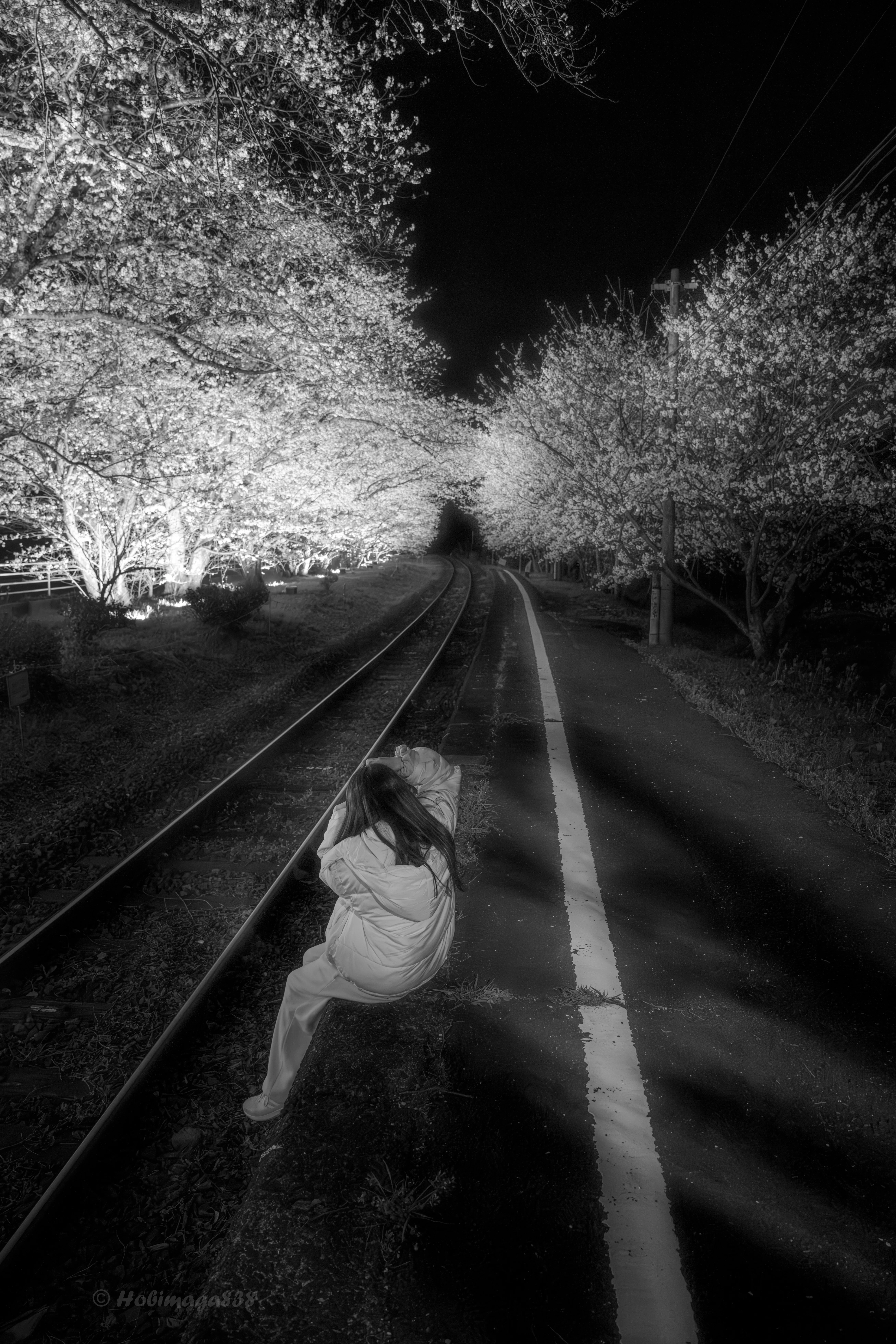 Nikonで撮る娘との夜桜や朝の写活の写真たち｜ほびマガ