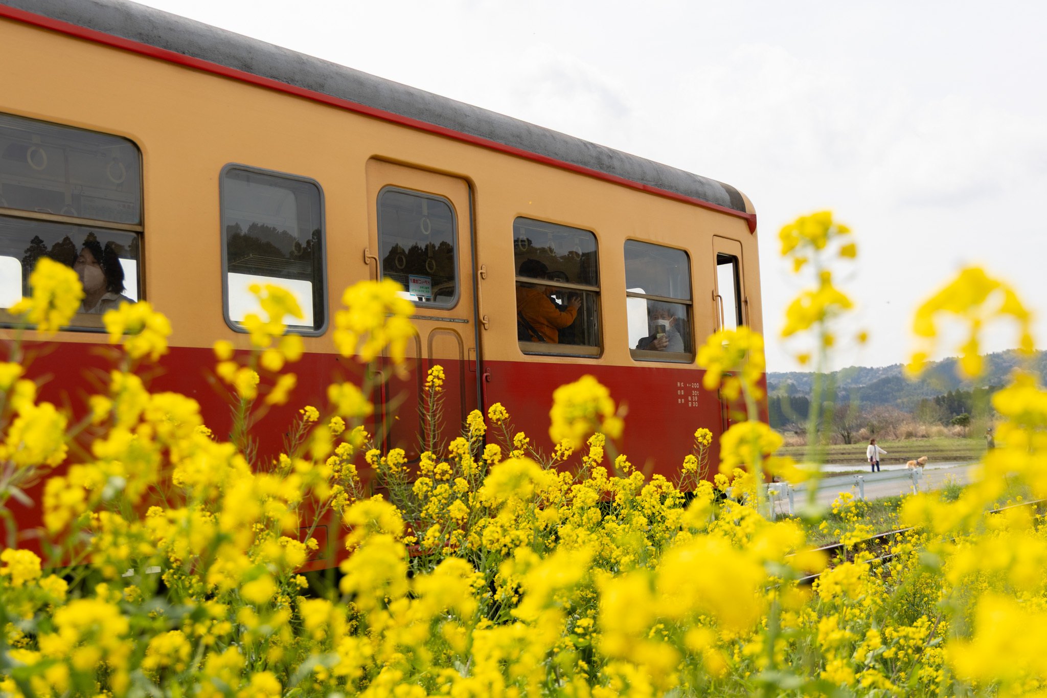 小湊鉄道　上総川間駅 上総川間駅：小湊鐵道｜旅情駅探訪記｜ちゃり鉄.JP | ちゃり鉄.JP