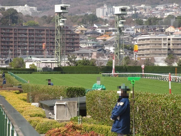 阪神競馬場馬場(坂の傾斜も見える)