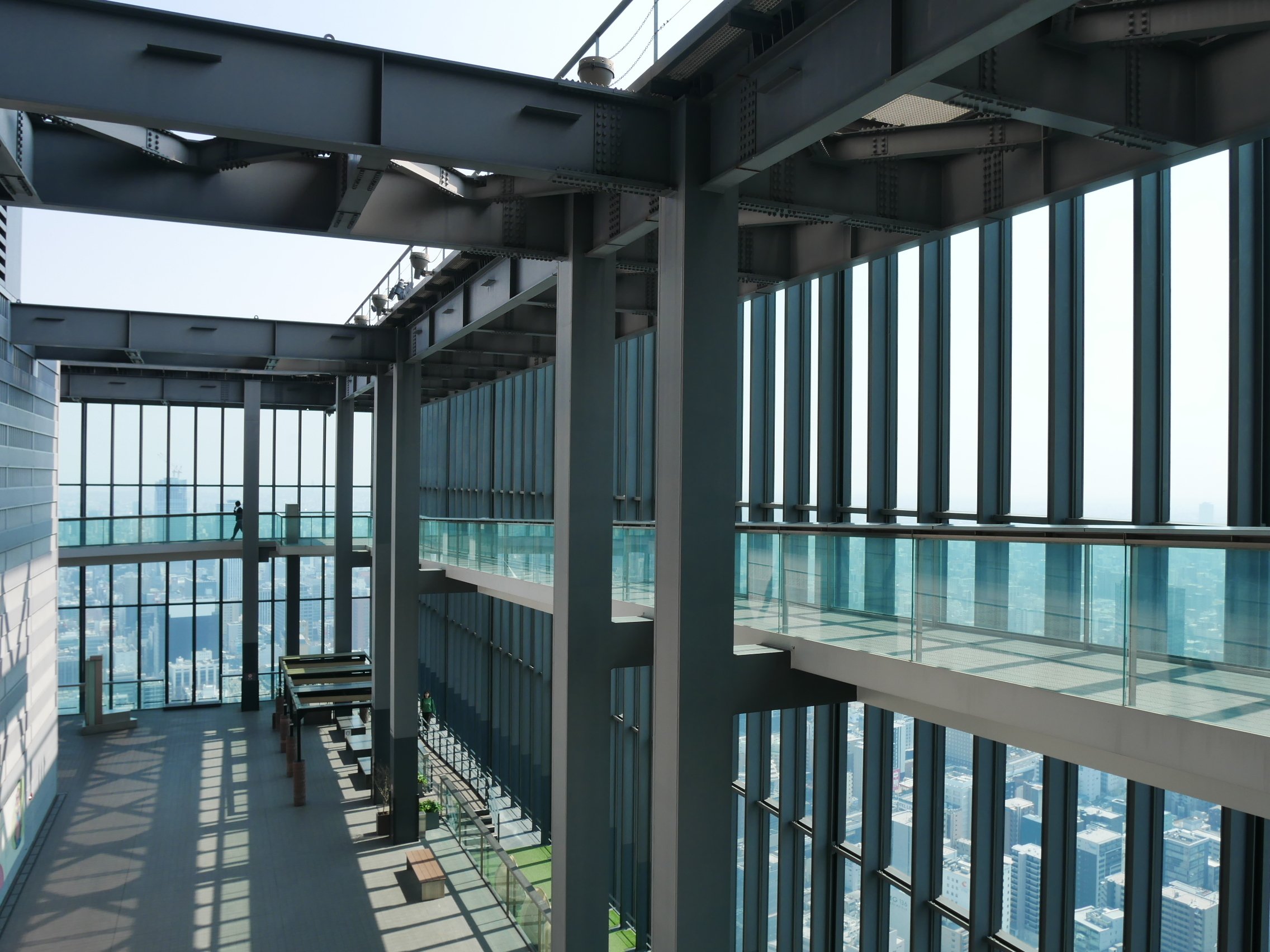 560 名古屋空中散歩。｜ミヤコカエデ（Miyako Kaede)