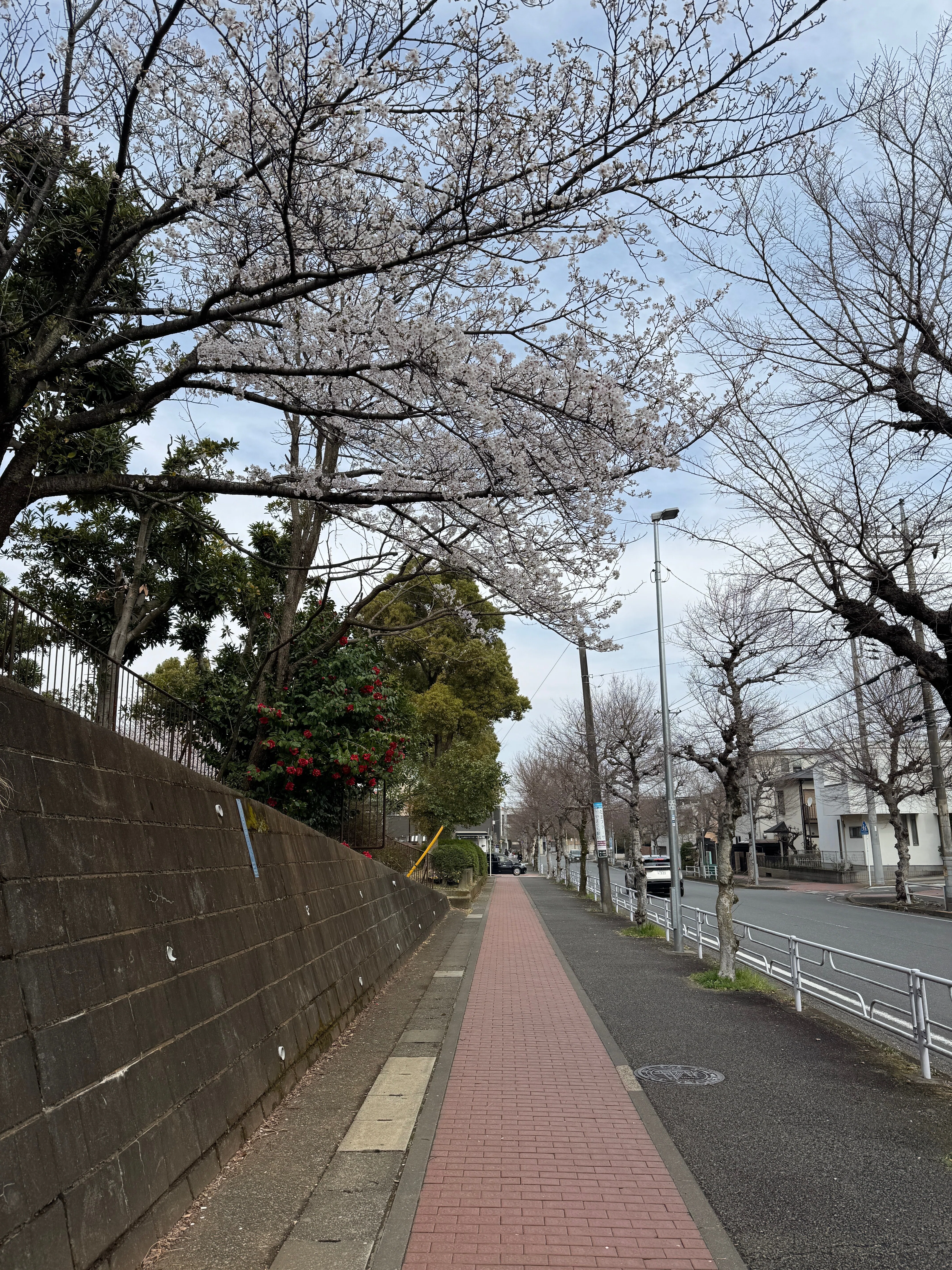鎌倉街道 中道 支道を走る 荏田～新中野｜dash2