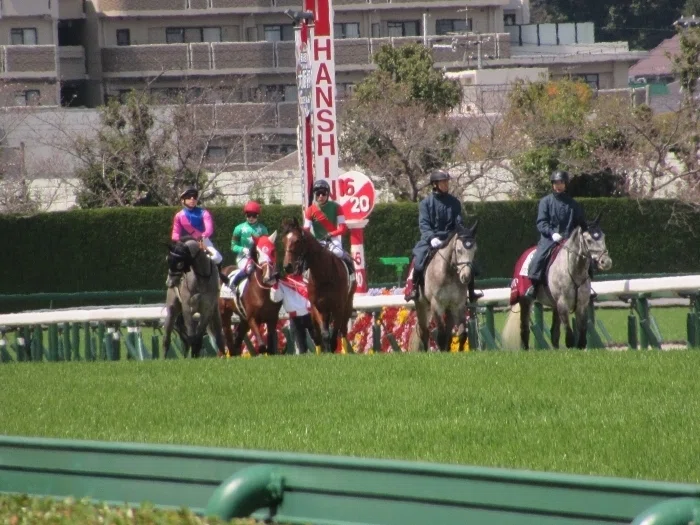 阪神競馬場本馬場入場の様子1