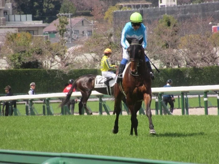 阪神競馬場本馬場入場の様子2
