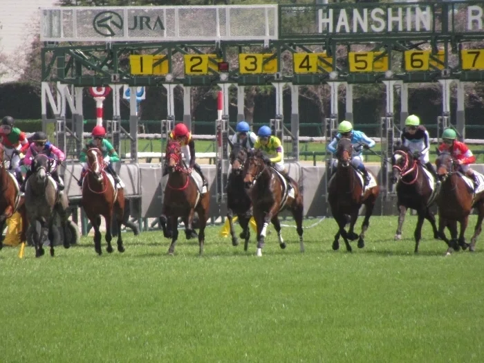 阪神競馬場レースの様子1