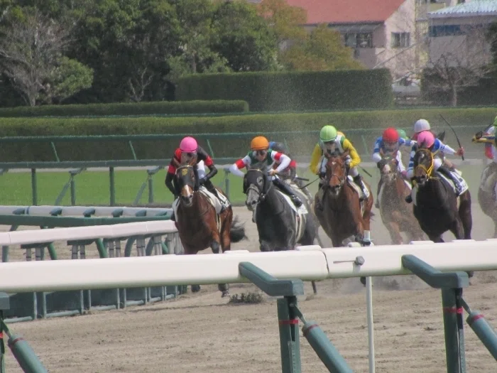 阪神競馬場レースの様子(第4コーナーの争い)