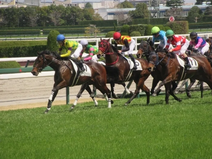 阪神競馬場レースの様子(直線の攻防)
