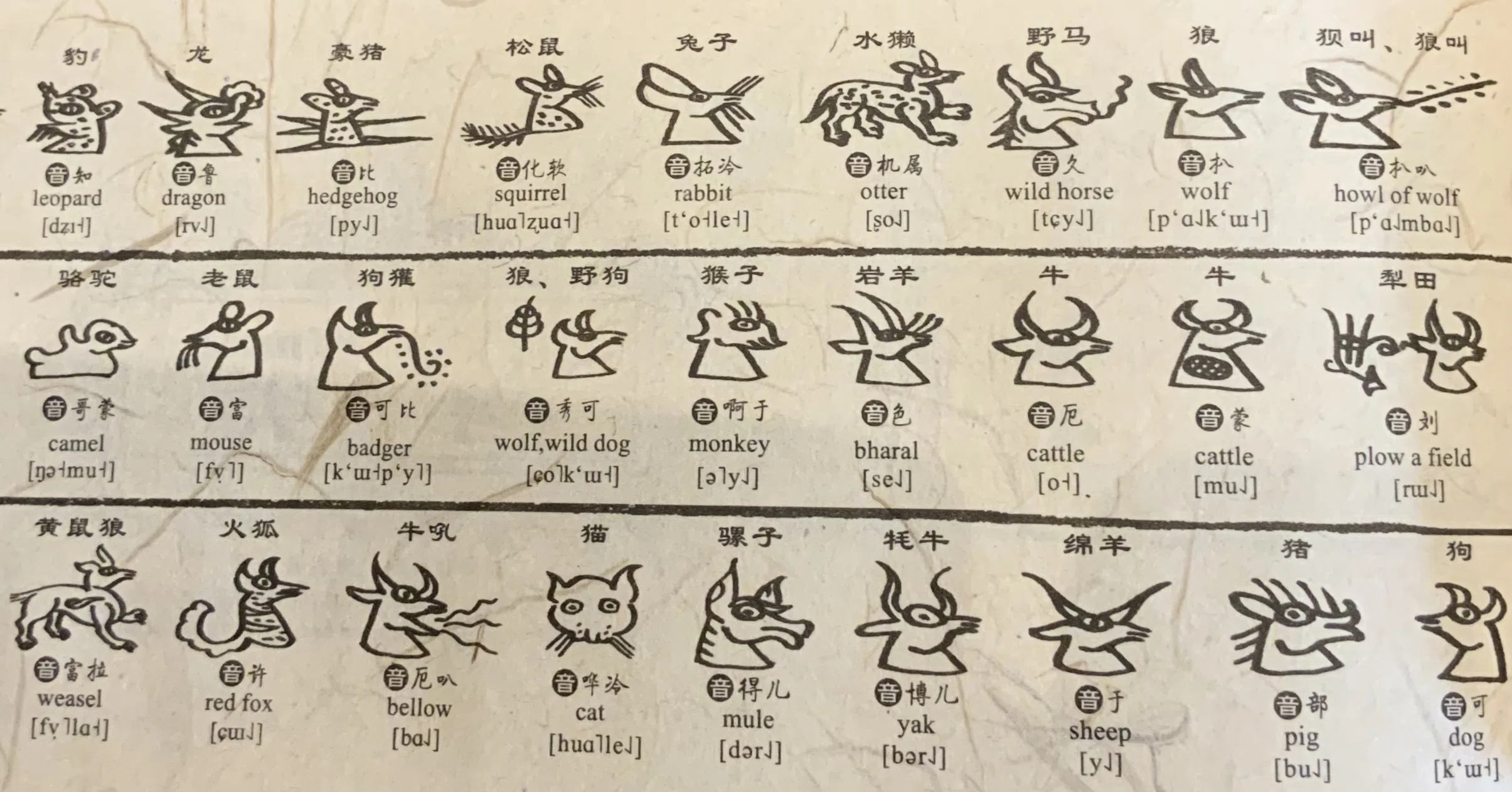 オカダの推し文字、【东巴文字】を語らせてくれ｜オカダ