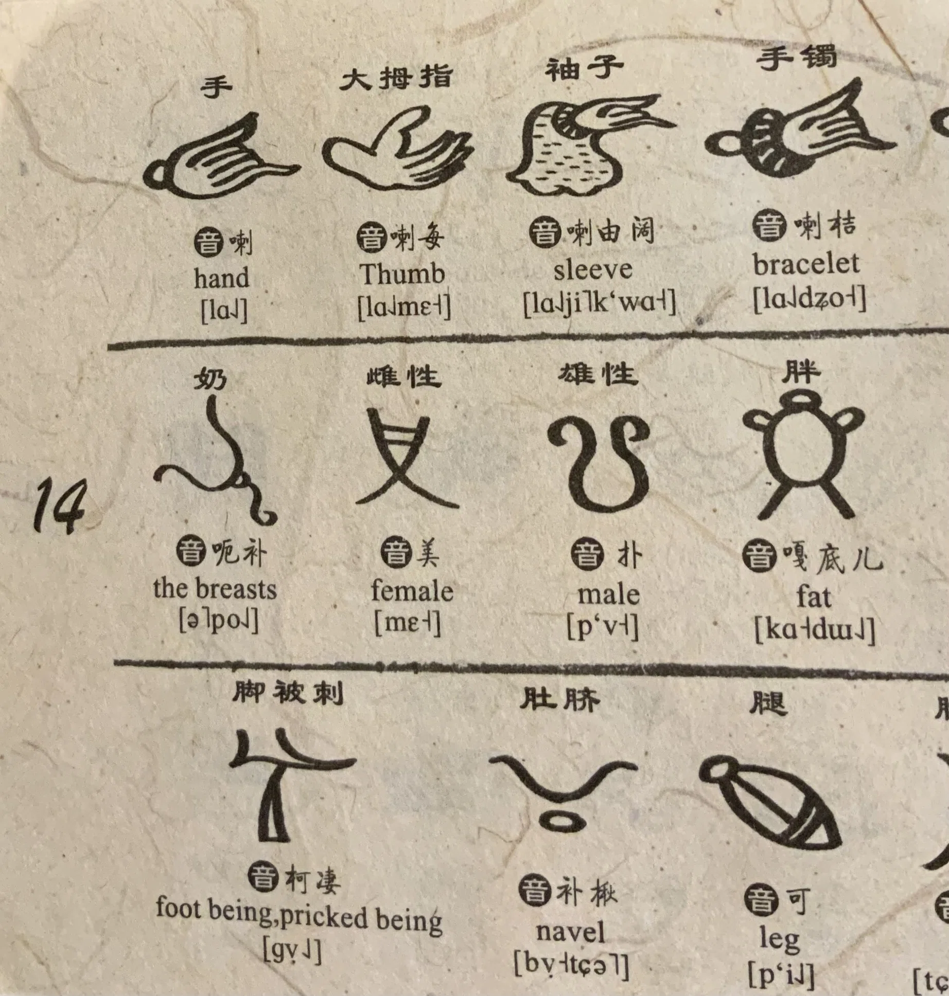 オカダの推し文字、【东巴文字】を語らせてくれ｜オカダ
