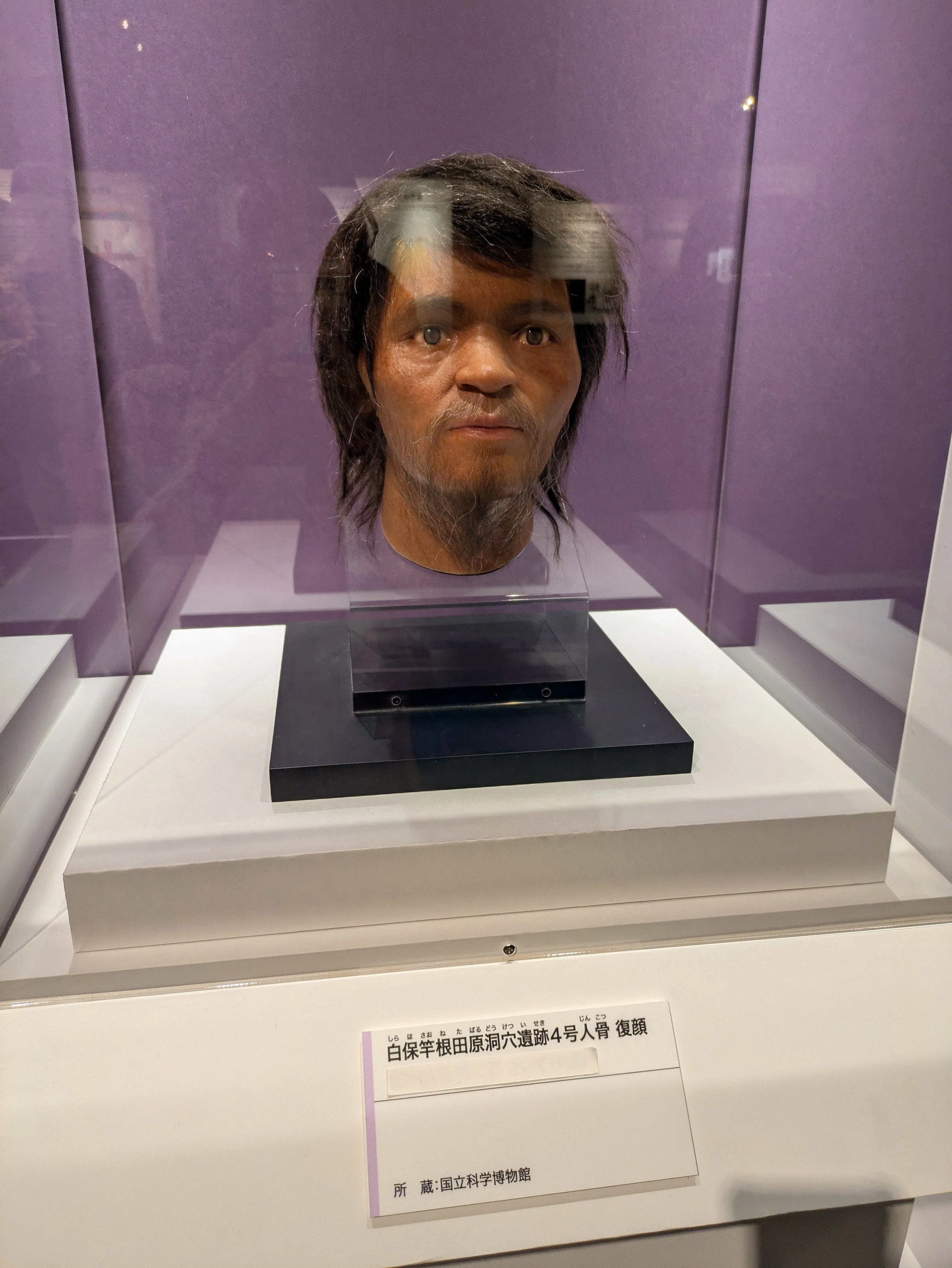 うちら人類はどこからやってきてん！？古代DNA展行ってきた｜縄文ねぇ