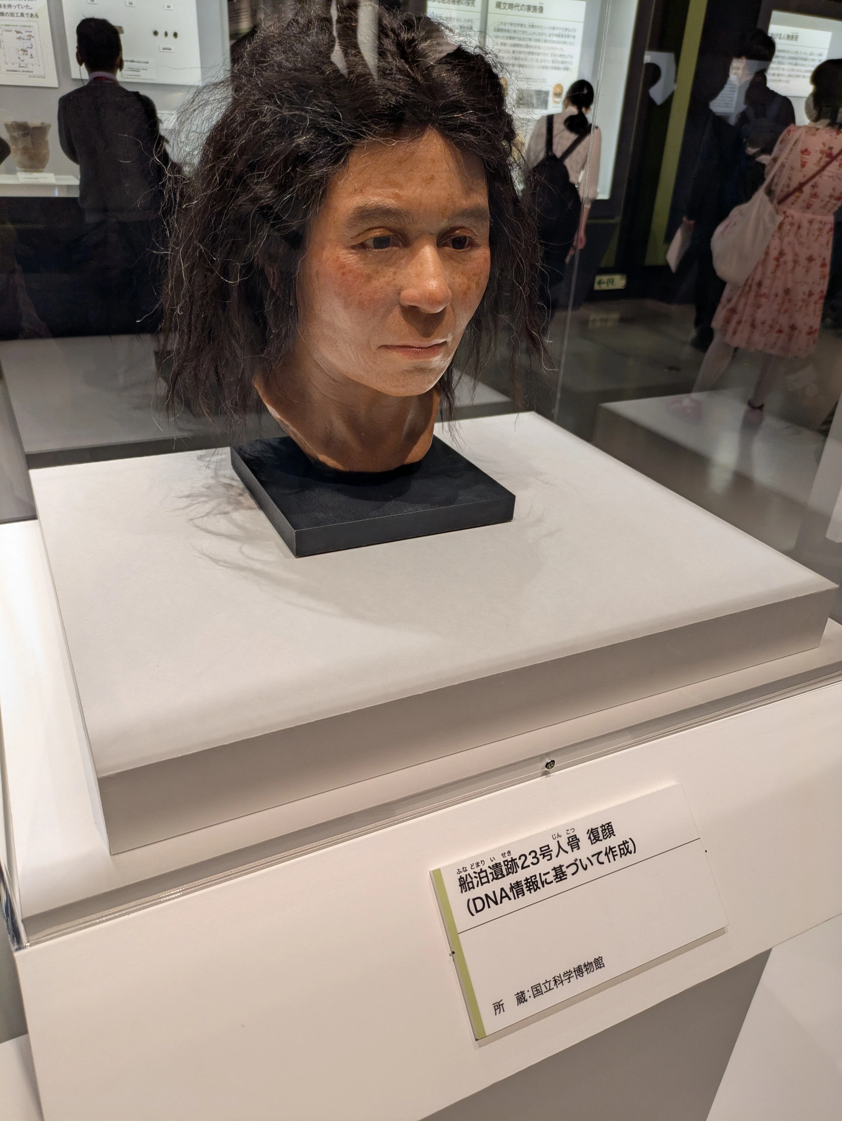 うちら人類はどこからやってきてん！？古代DNA展行ってきた｜縄文ねぇ