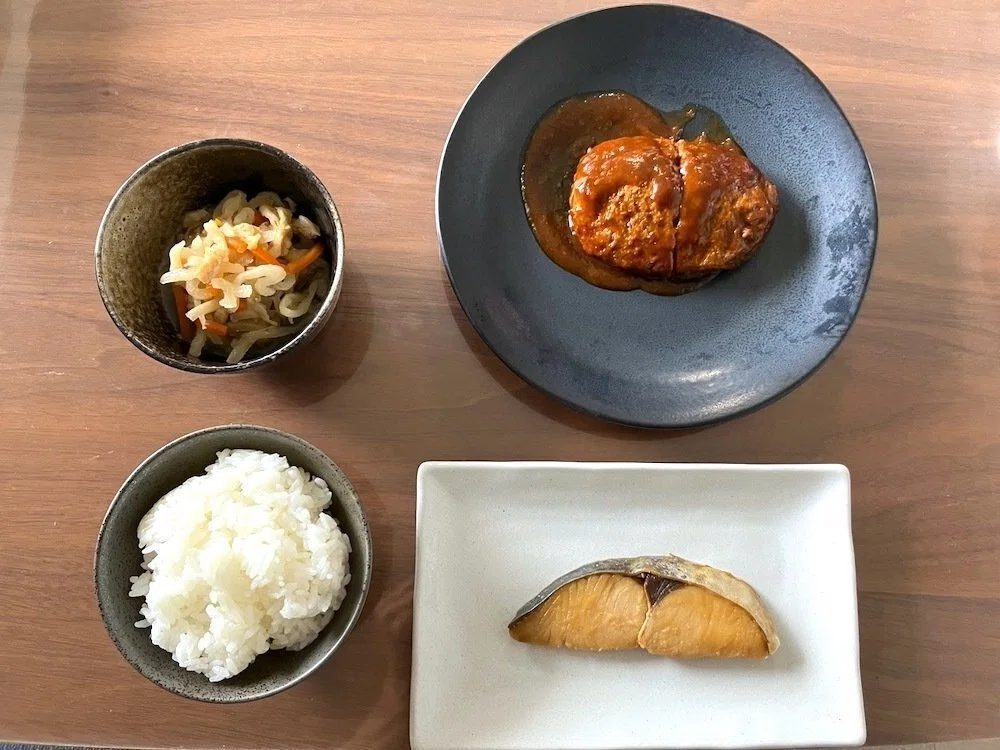 ☆専用☆フィットデリ FIT deli FitDish（フィットディッシュ）を使ってみた私の口コミをレビュー