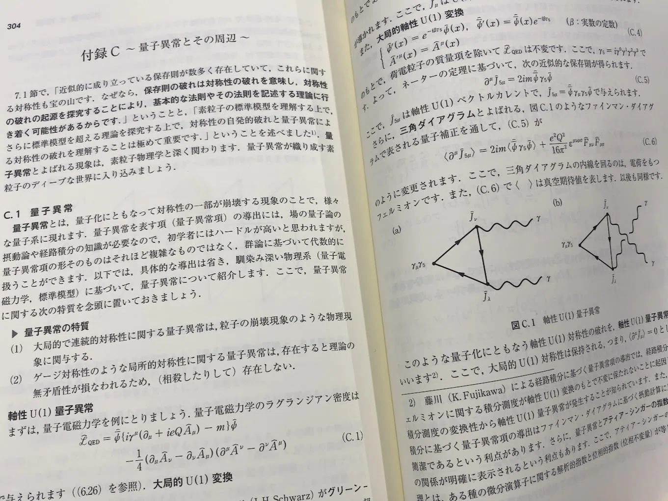 素粒子物理学の学びはじめにオススメ！『物理学レクチャーコース 素