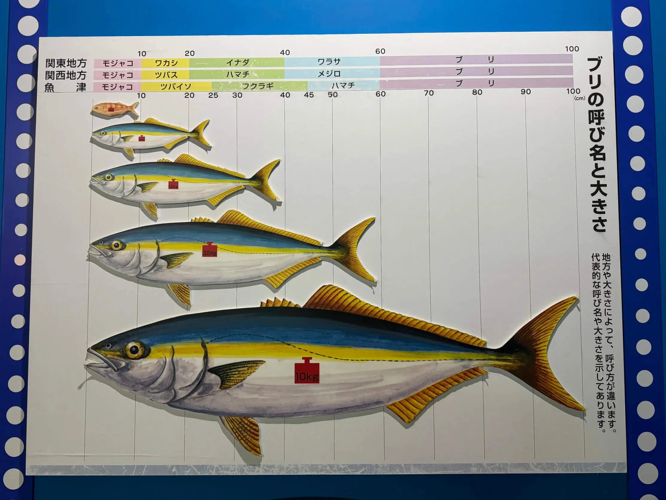 富山 魚津水族館 特別探検ツアー開催！｜【公式】寿司といえば富山DAO