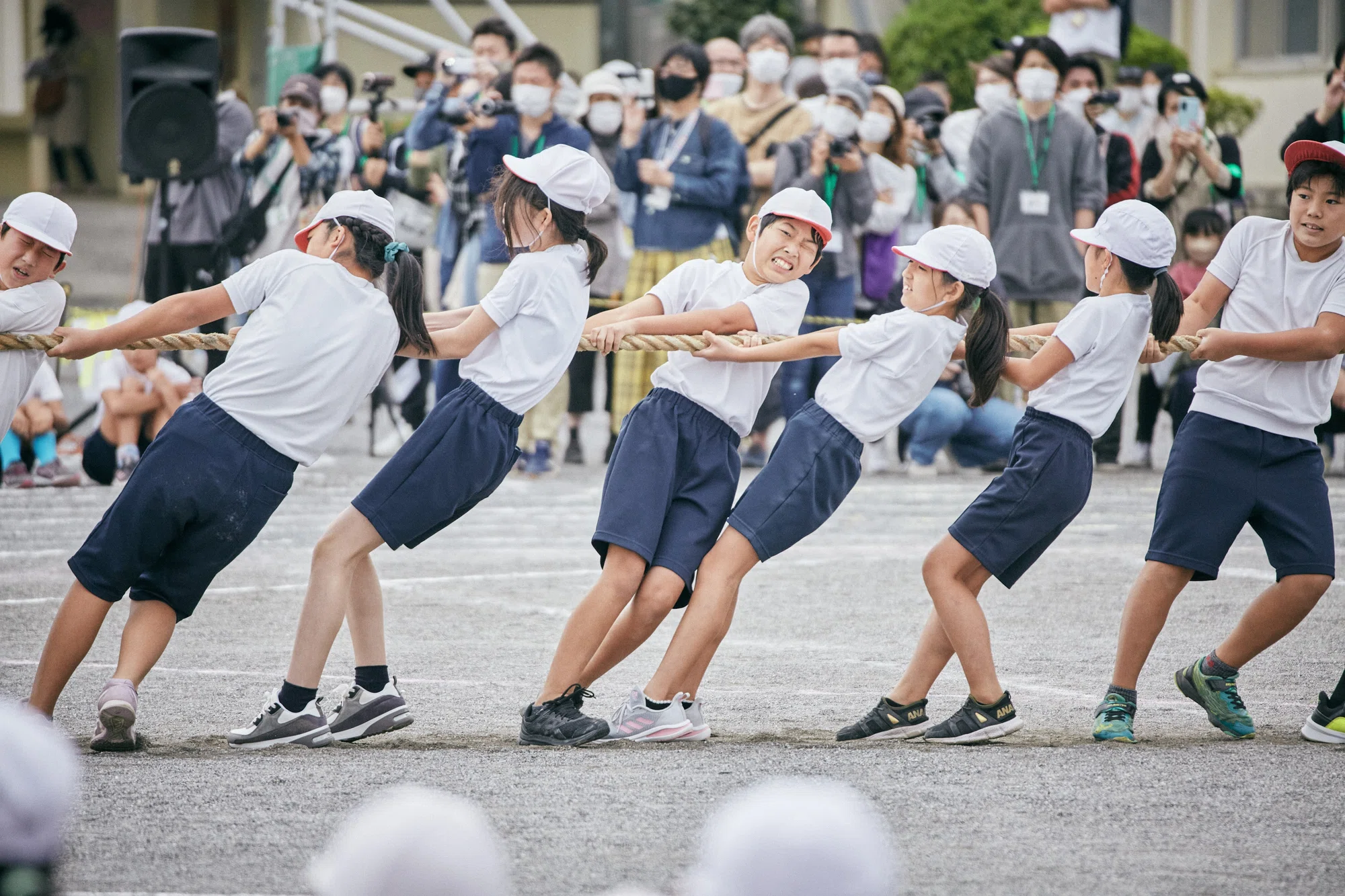 活動歴および当時の関連ビジュアル記録