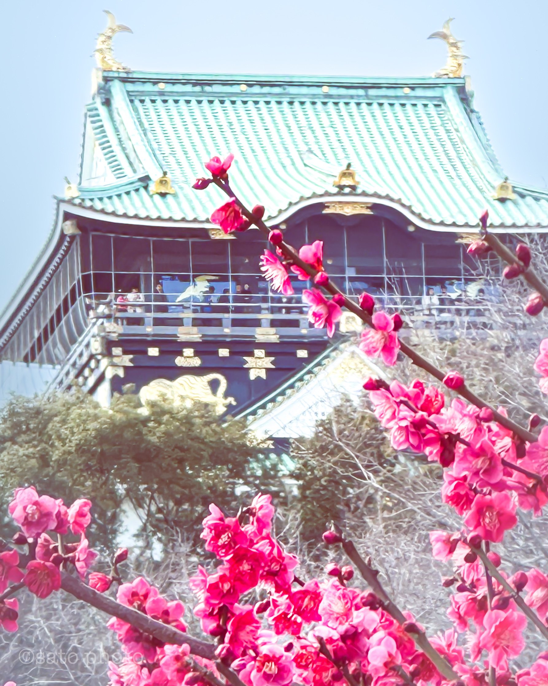 2025.03】今月に撮った写真で1ヶ月を振り返っていく｜sato｜旅