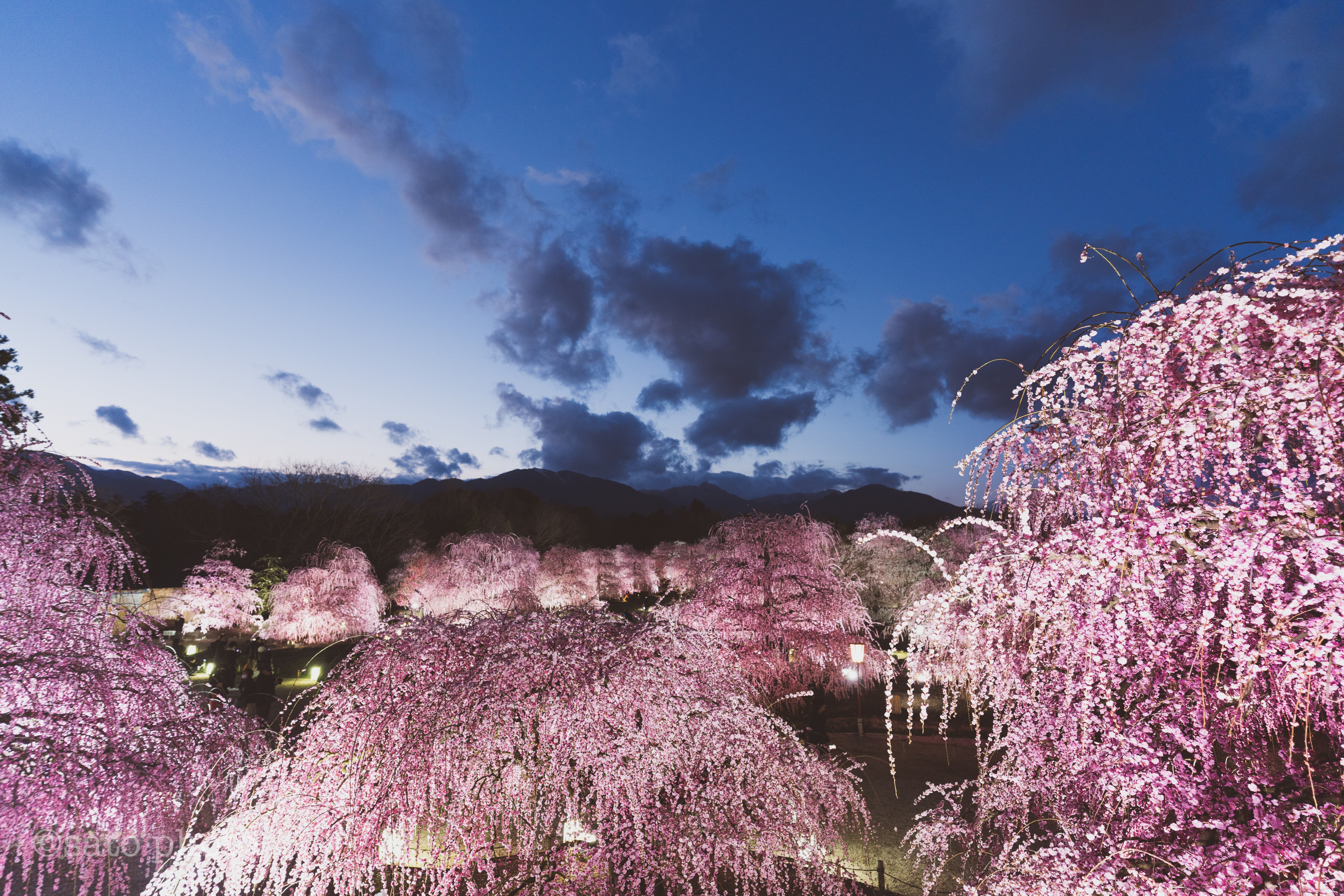2025.03】今月に撮った写真で1ヶ月を振り返っていく｜sato｜旅