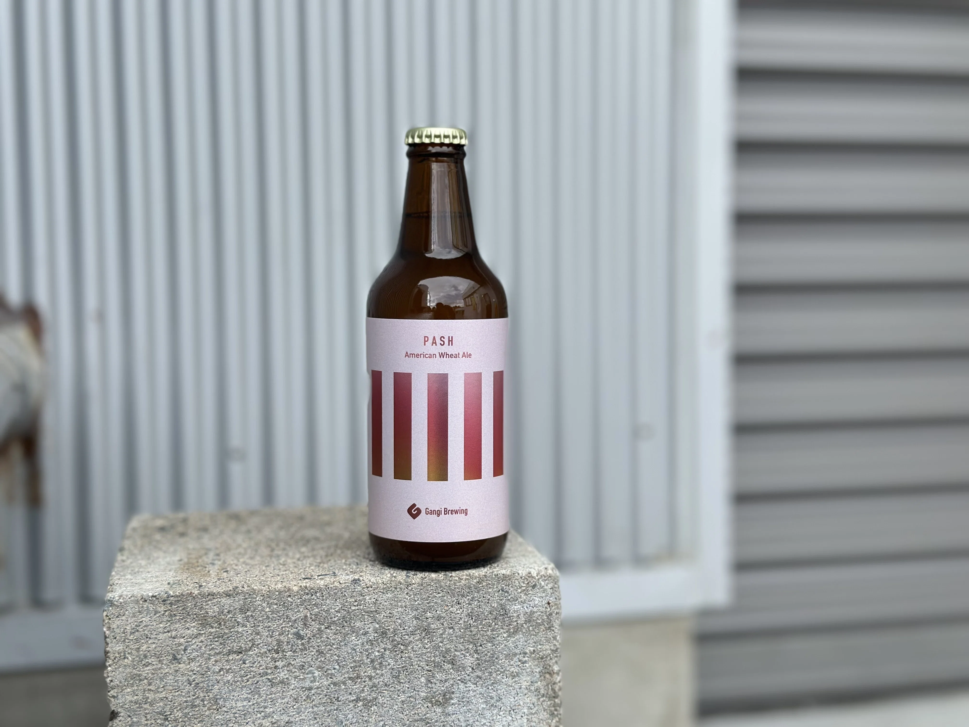 ぱっしゅ PASH リリースです！｜Gangi Brewing