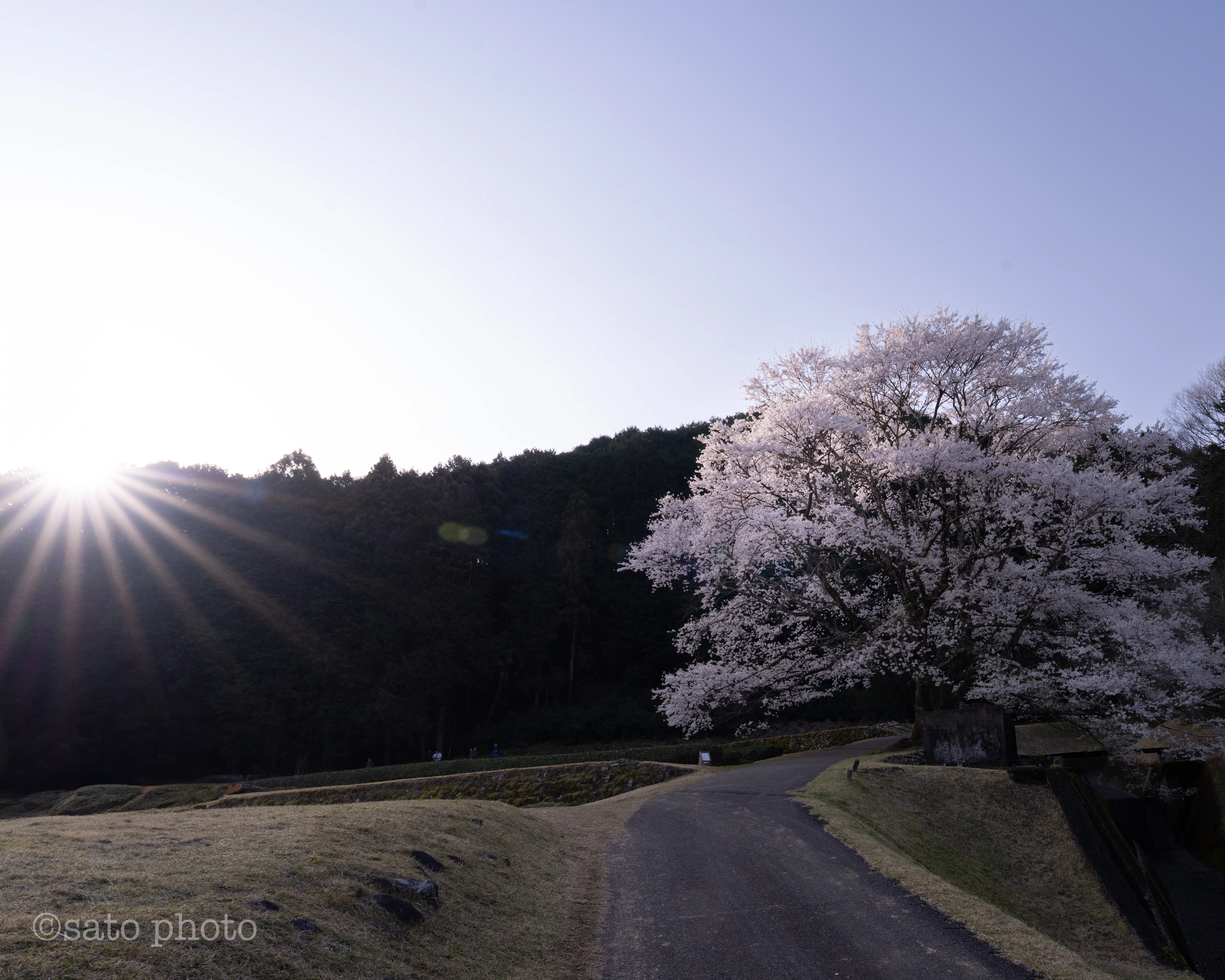 2025.03】今月に撮った写真で1ヶ月を振り返っていく｜sato｜旅好き40代