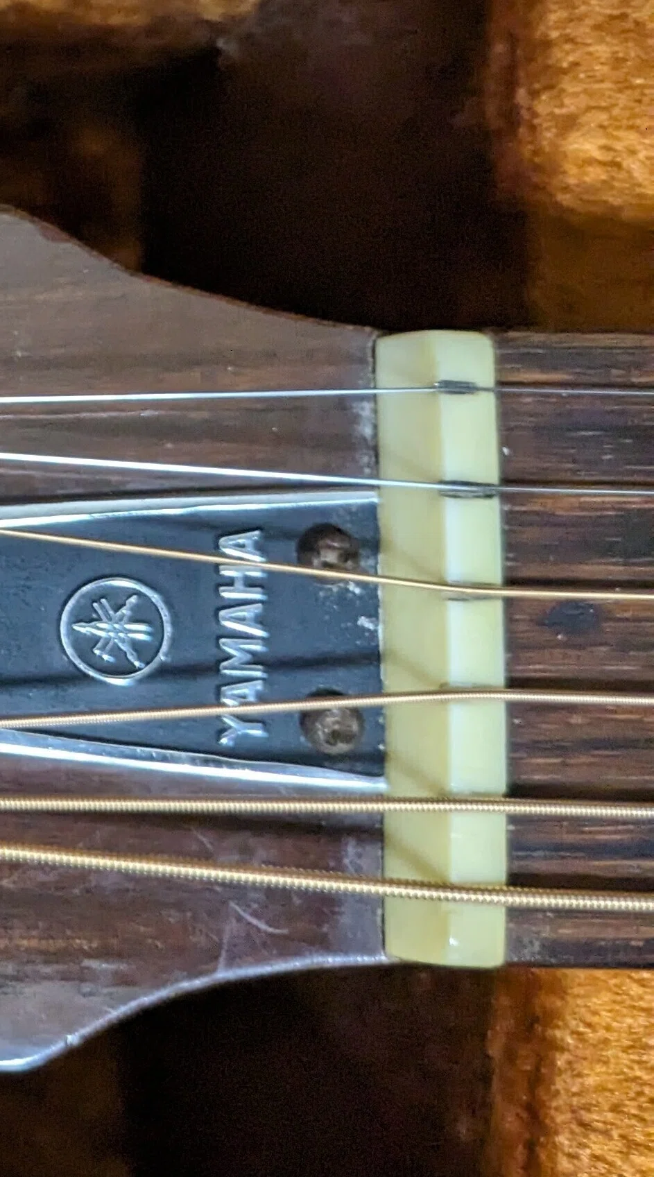 アコースティックギター YAMAHA FG-180 を買った｜ブラウニー