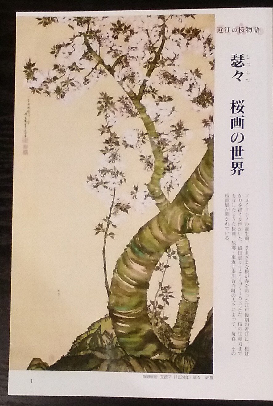 白鹿記念酒造博物館・酒ミュージアム「春季展 笹部さくらコレクション