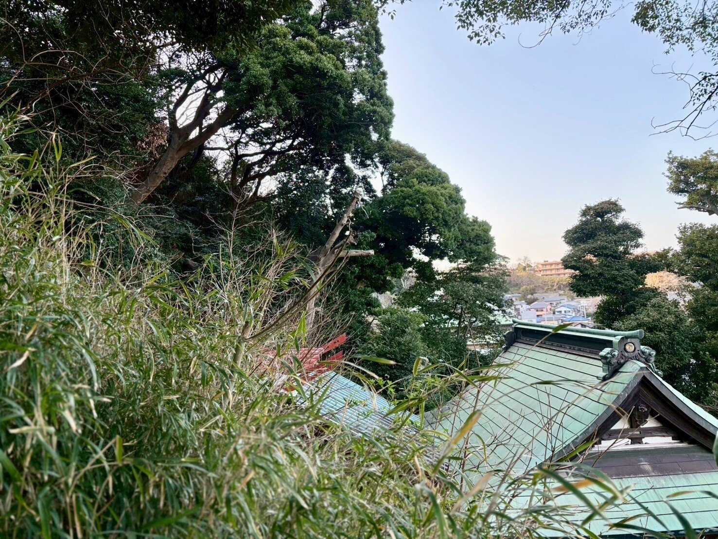 横須賀「走水神社」さんにあがりました|神社巡り444 横須賀「走水神社」さんにあがりました|神社巡り444