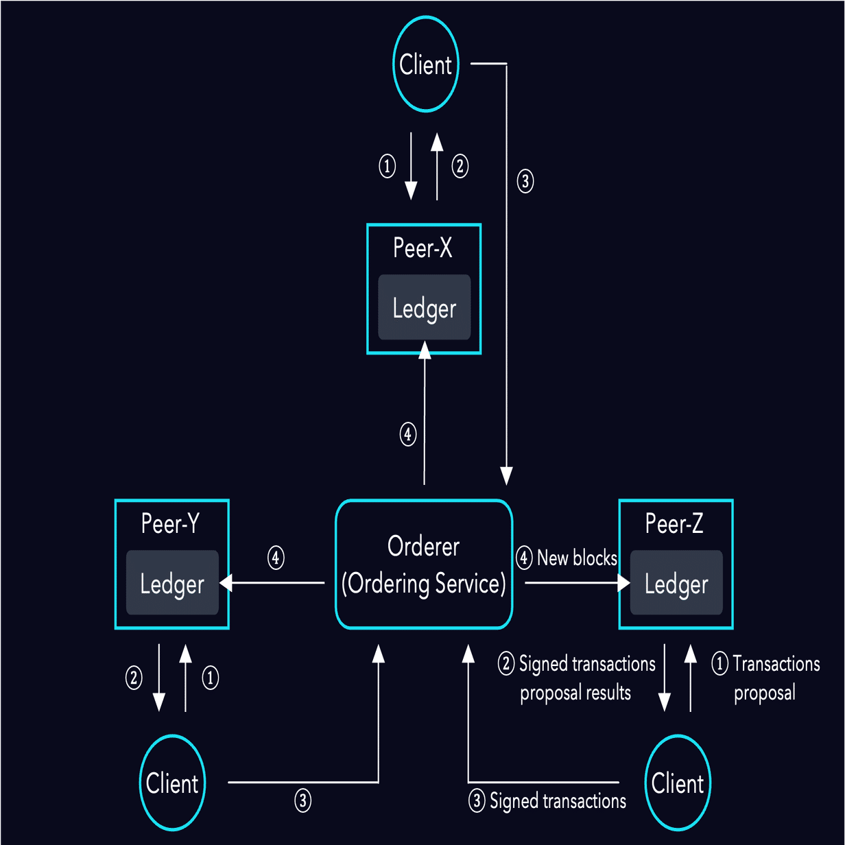 Amazon Managed Blockchain] Hyperledger Fabric の仕組みと開発時の Tips｜Takuma Doi