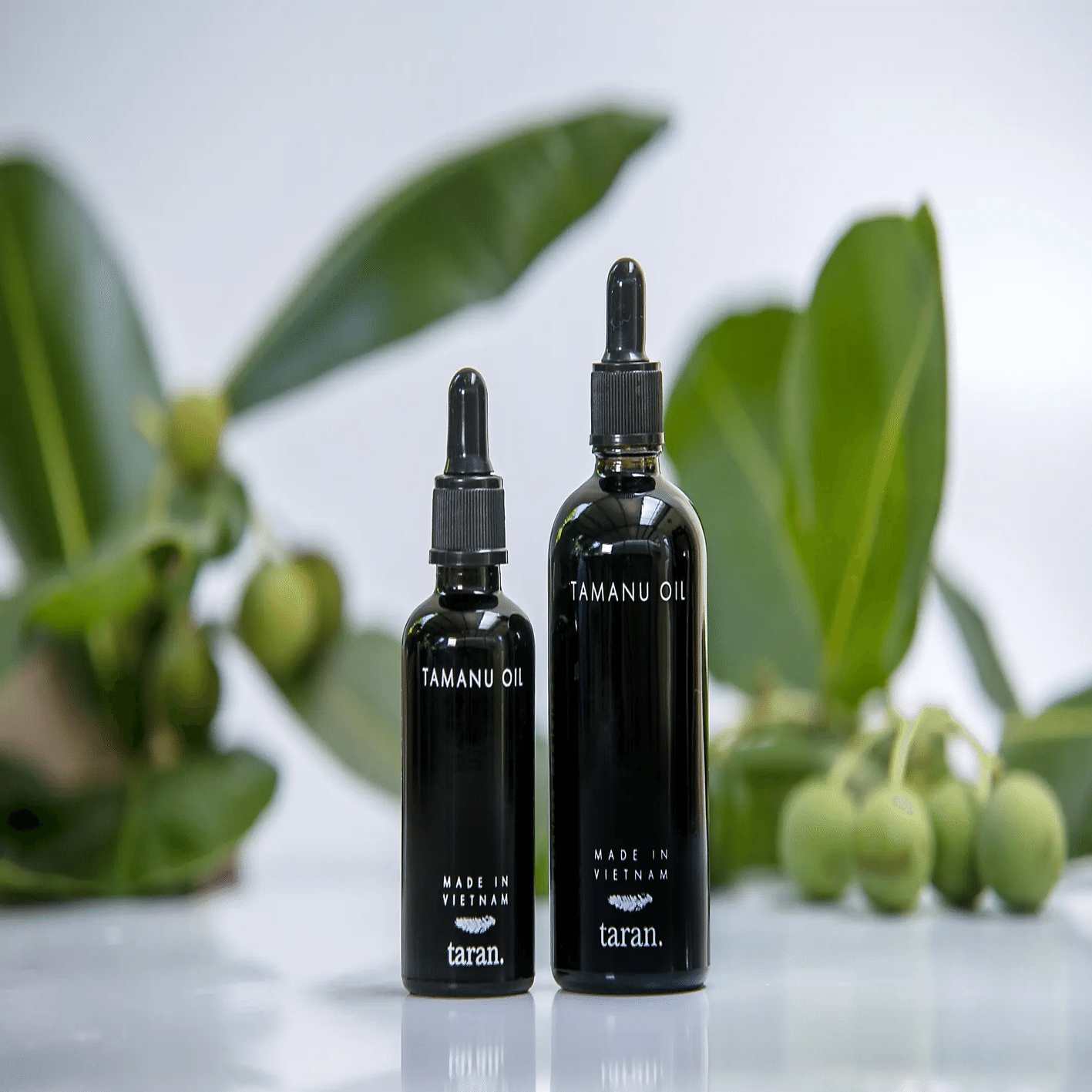 肌修復]タマヌオイルの知られざる効能｜そんちゃー君