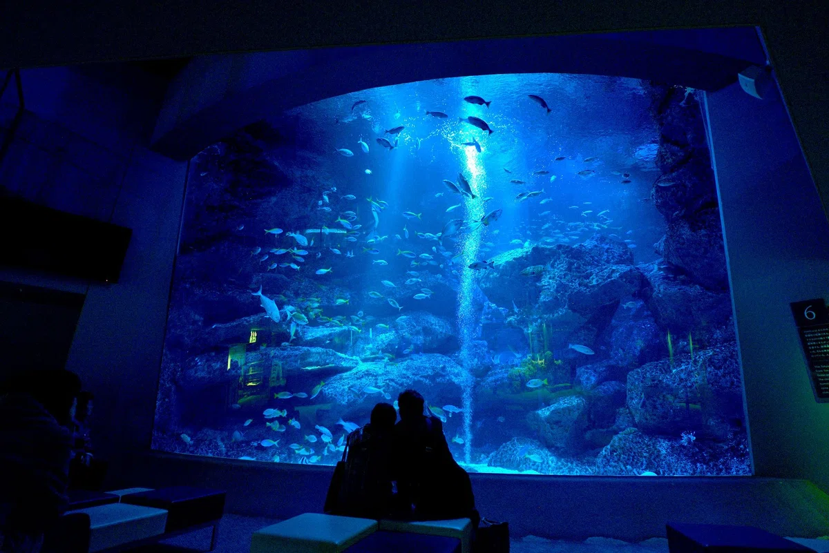 すみだ水族館