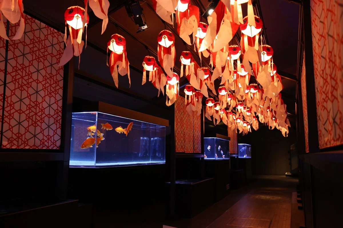 すみだ水族館「江戸リウム」金魚展示