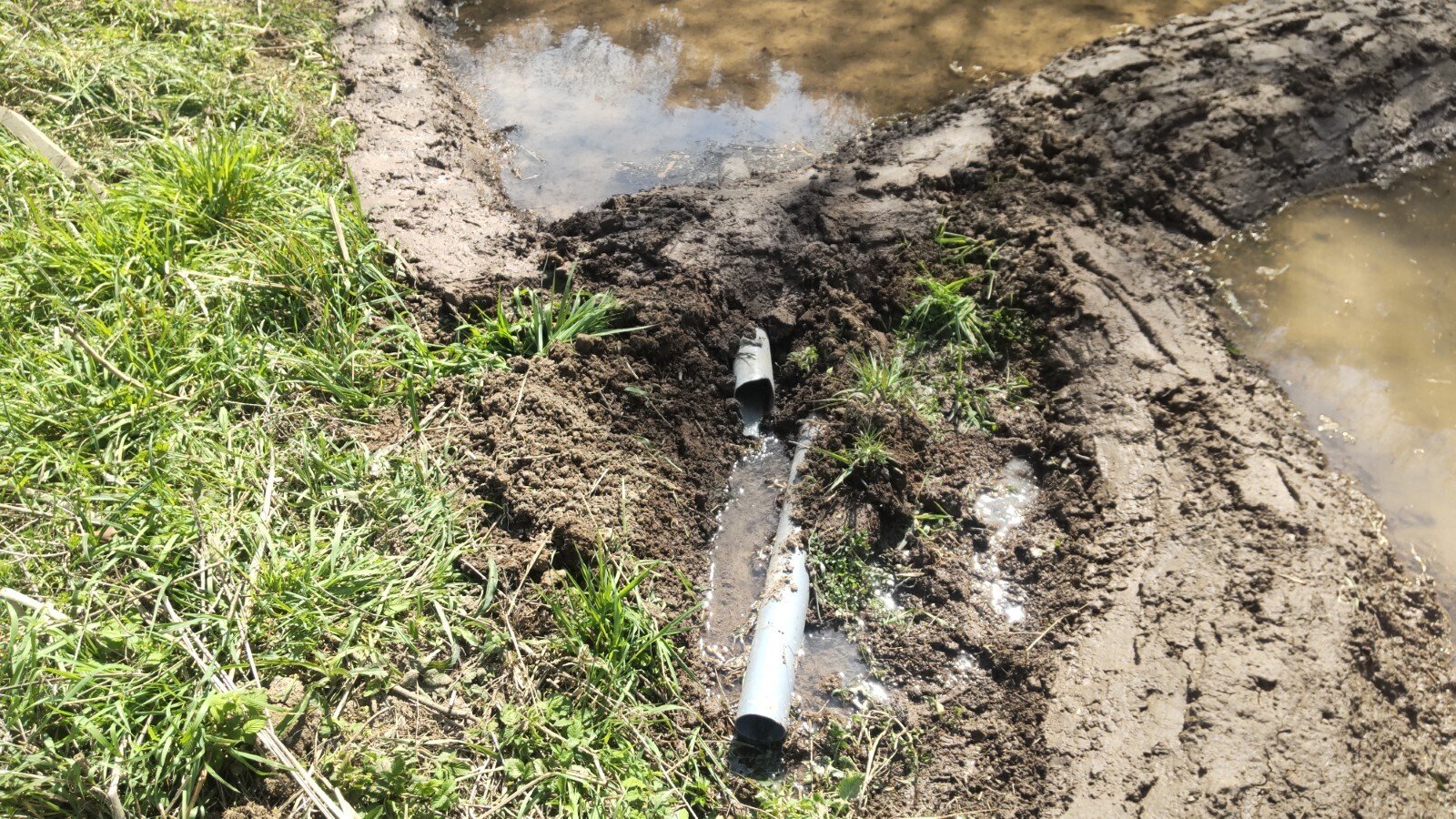 田んぼに藁を撒いてみる｜ぬくみねっと