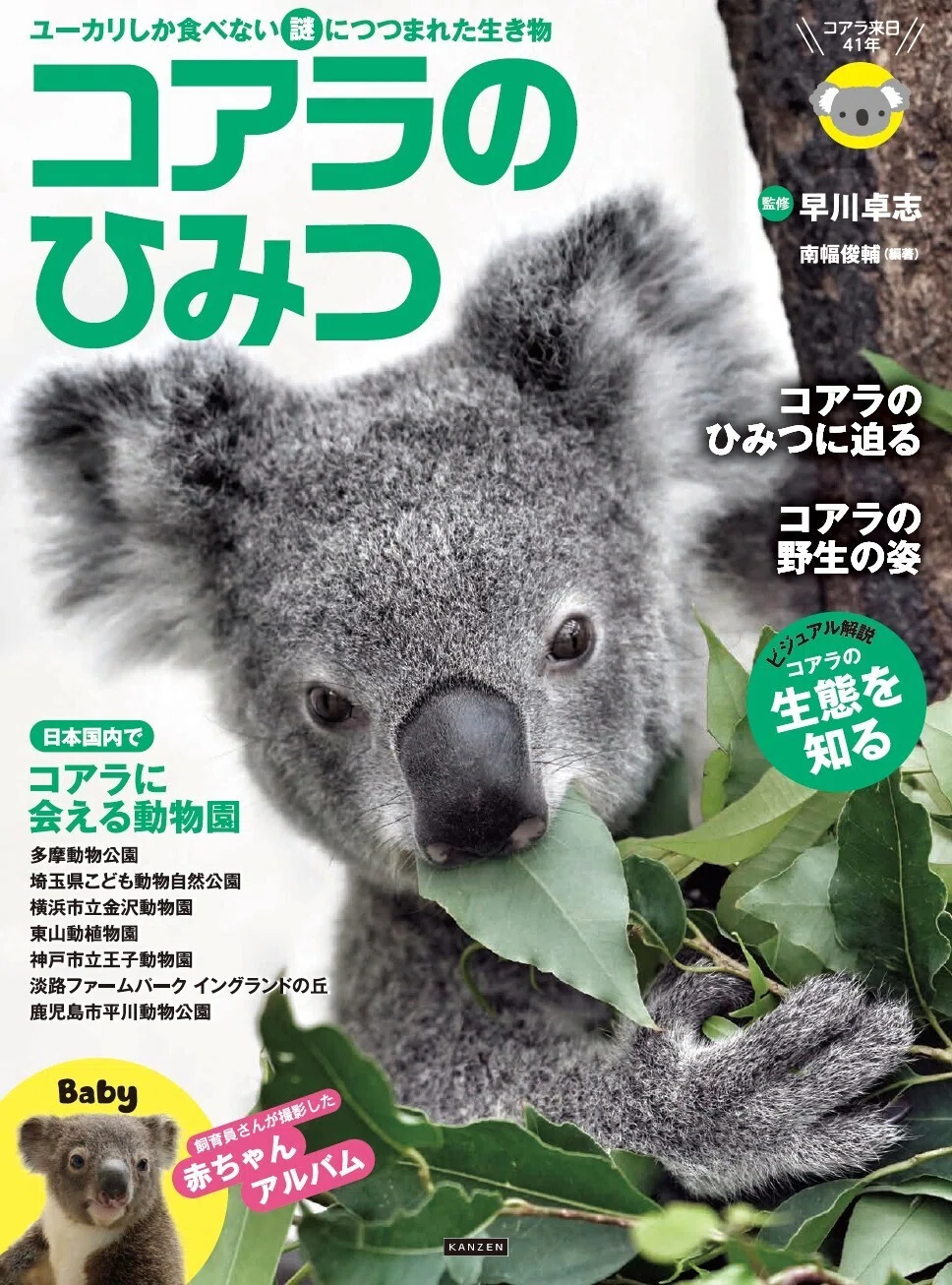 コアラページ2台目 コアラのひみつ』4月2日発売 - 動物園の人気者のすべてを解説｜カンゼン