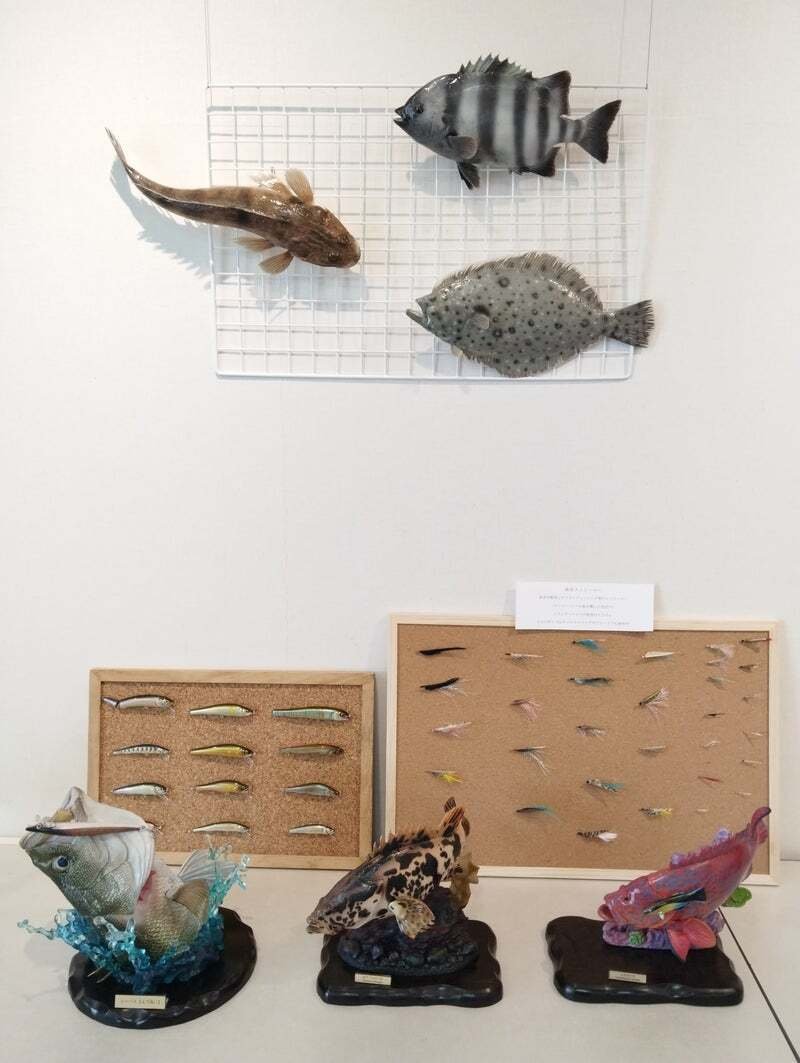 おさかなアート展2025」を終えて｜魚道部！/ 剥製師 力石眞弘 (ﾁｶﾗｲｼ ﾏｻﾋﾛ)