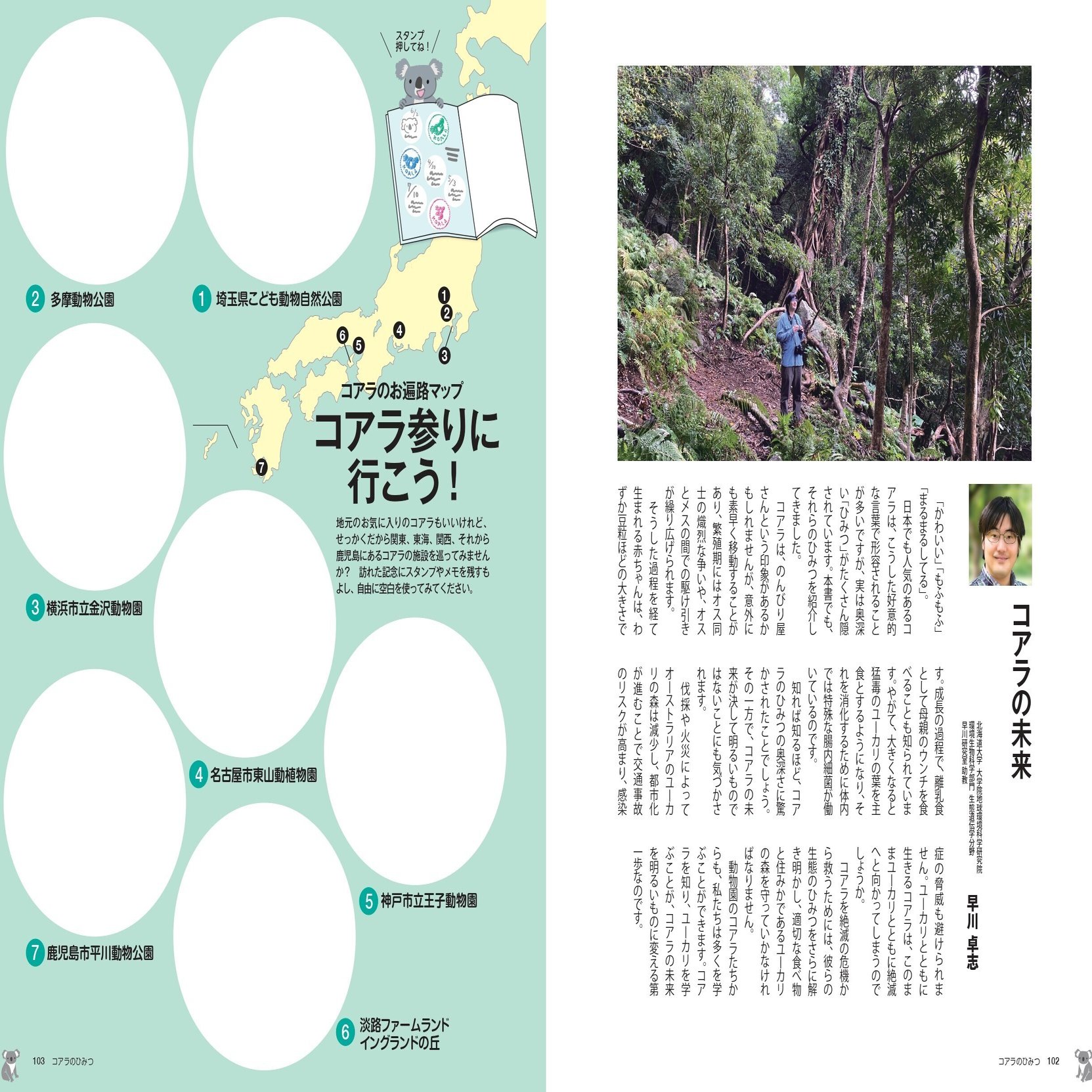 コアラのひみつ』4月2日発売 - 動物園の人気者のすべてを解説｜カンゼン, image size:2000x1363