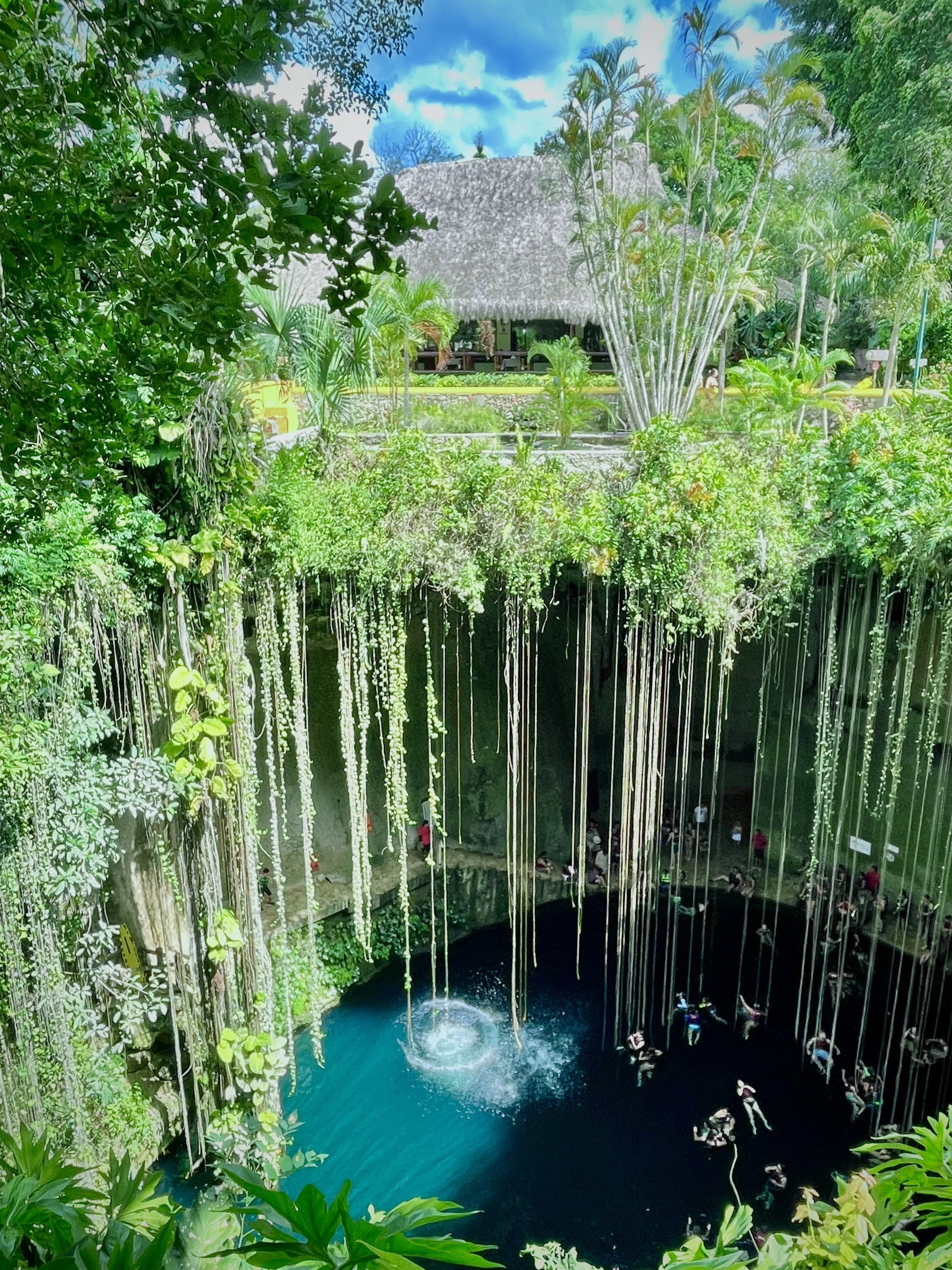 ユカタン半島 6600万年前の小惑星衝突がもたらした特殊な海洋環境 | Science Tokyo