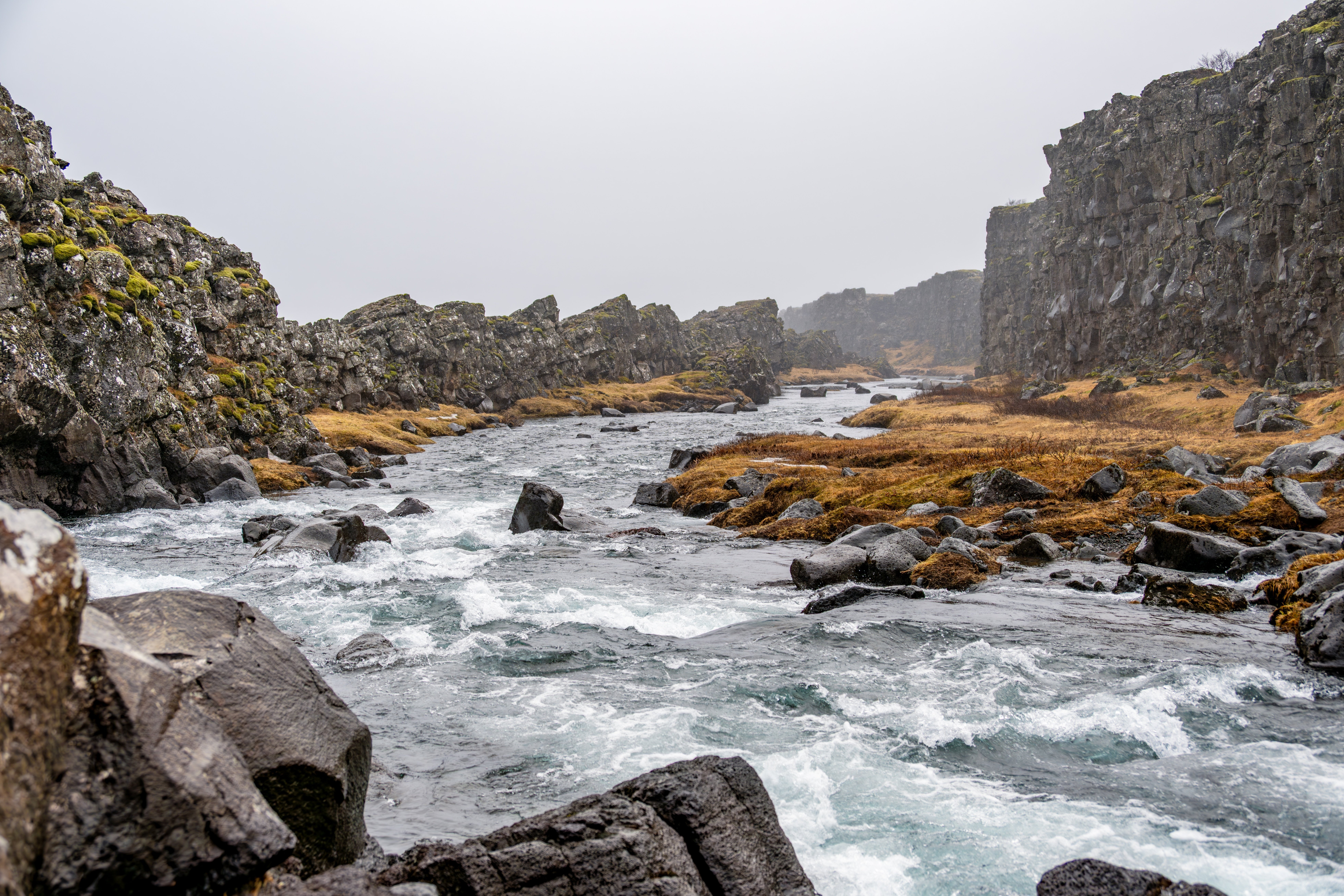 旅行編②】極北の火山島、アイスランドでオーロラを（2月22日／ついに