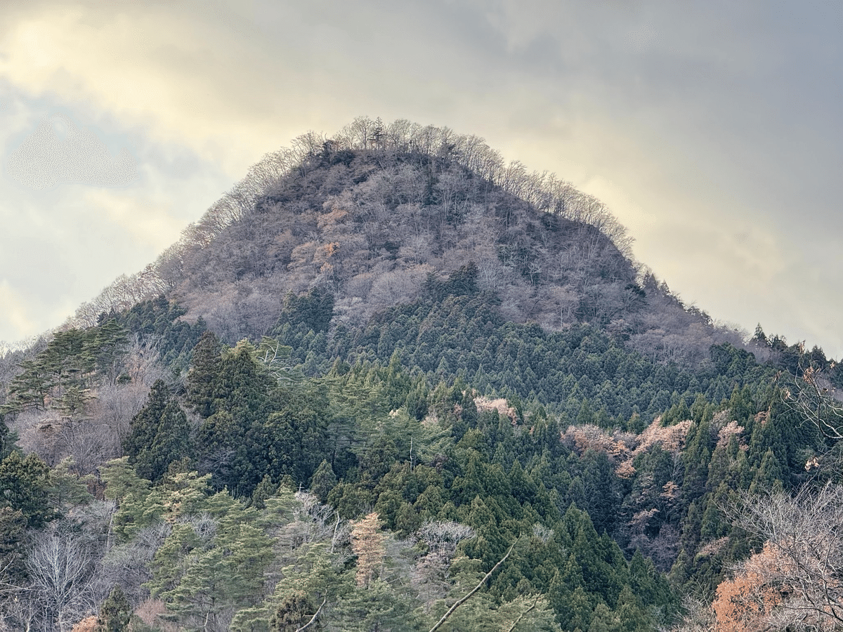 生出森八幡神楽 リーフレット・note制作(仙台げいのうの学校 生出森八幡神楽 リーフレット・note制作(仙台げいのうの学校