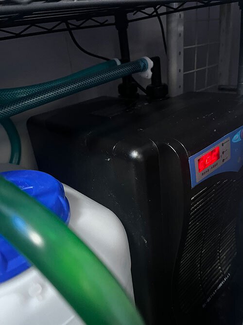 猛暑に備えて水槽用クーラー新品(NC-160)を5千円で購入したのだが