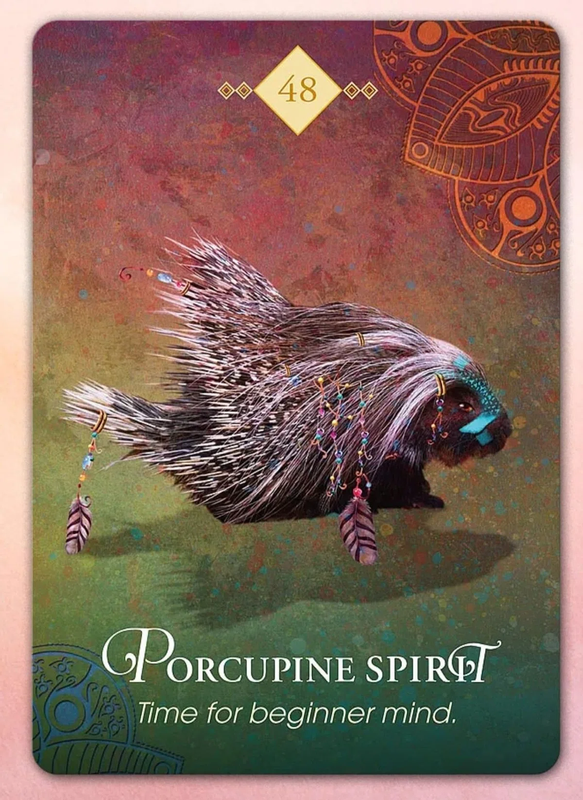 Beatific What My Quills Teach Me: 'Porcupine Spirit' — Relaxing Your Quills and ...