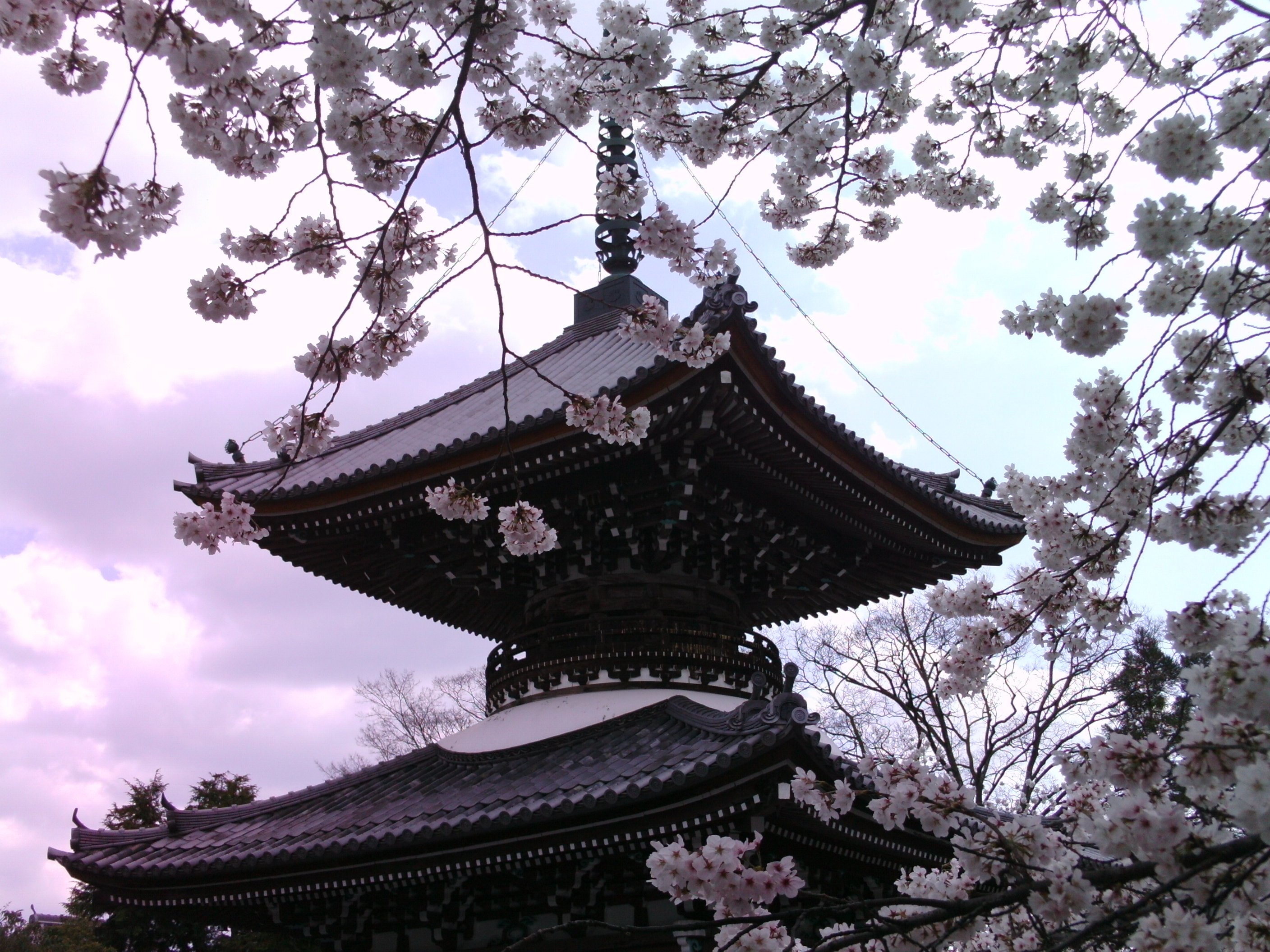 複製 印刷掛軸 祇園会図 伝長谷川久蔵筆 - メルカリ