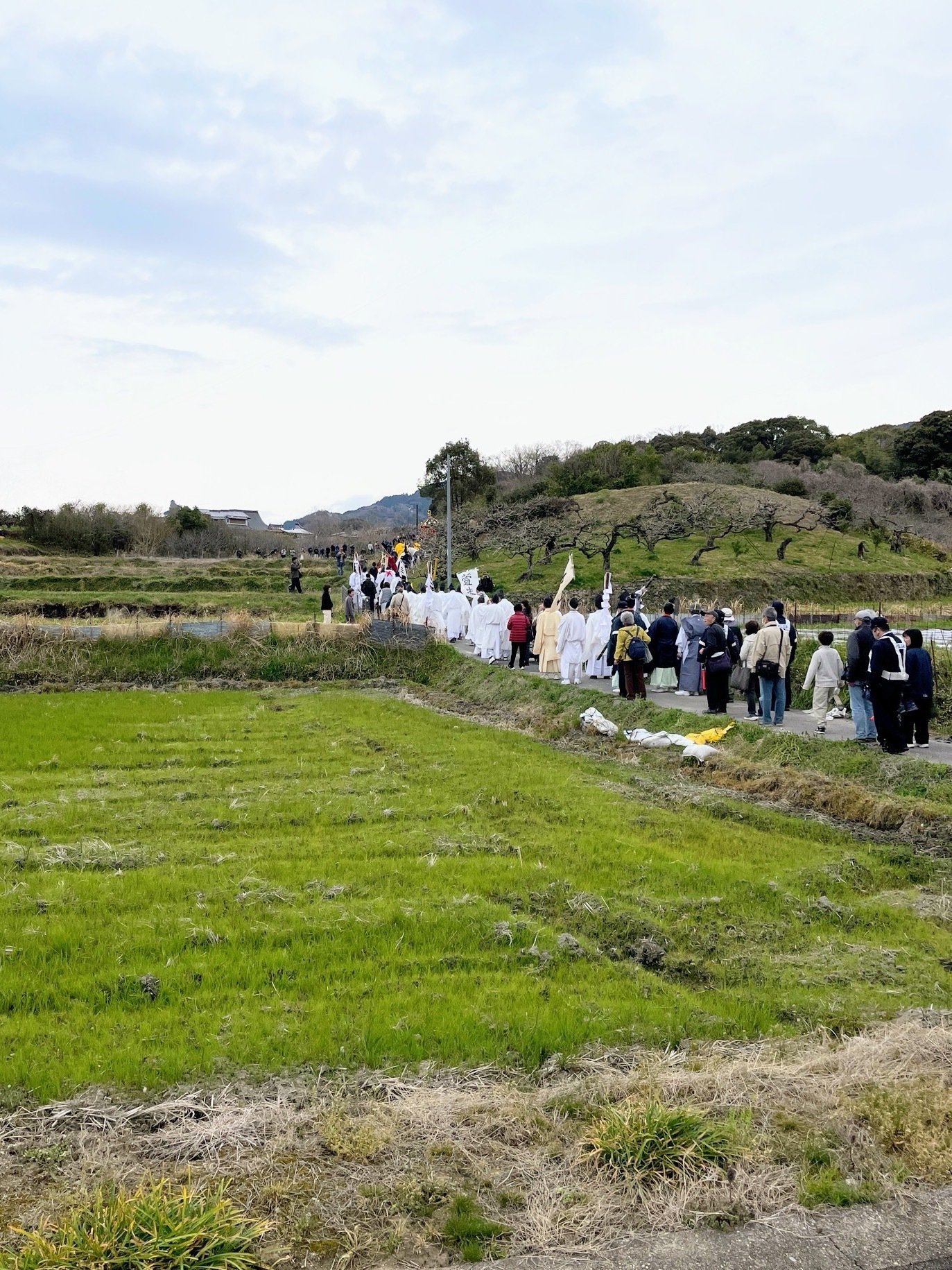 ちゃんちゃん祭 奈良・大和神社|美術館とお寺と猫 ちゃんちゃん祭 奈良・大和神社|美術館とお寺と猫