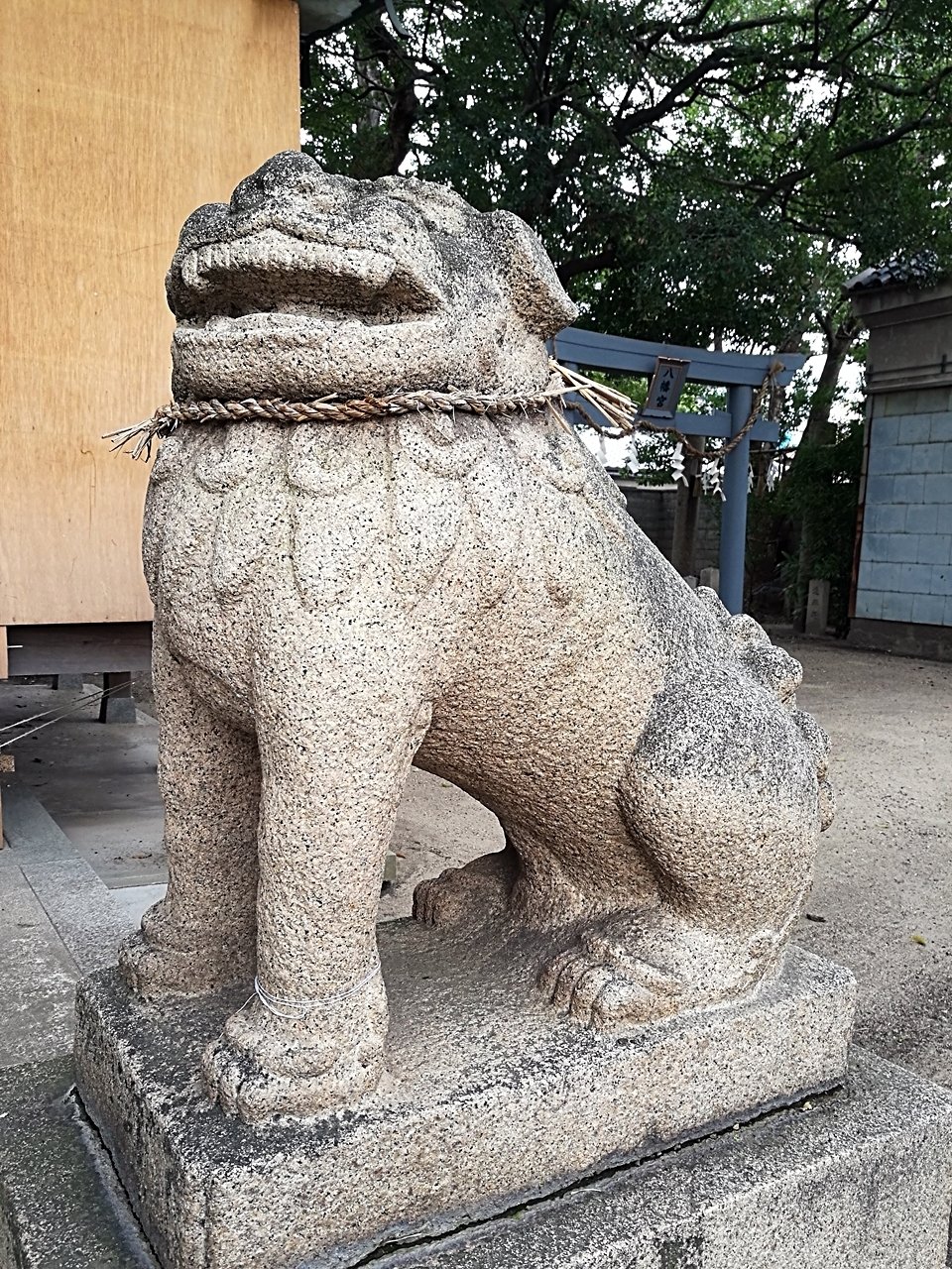 いちごの狛犬 まひで😋🍦 on X: 