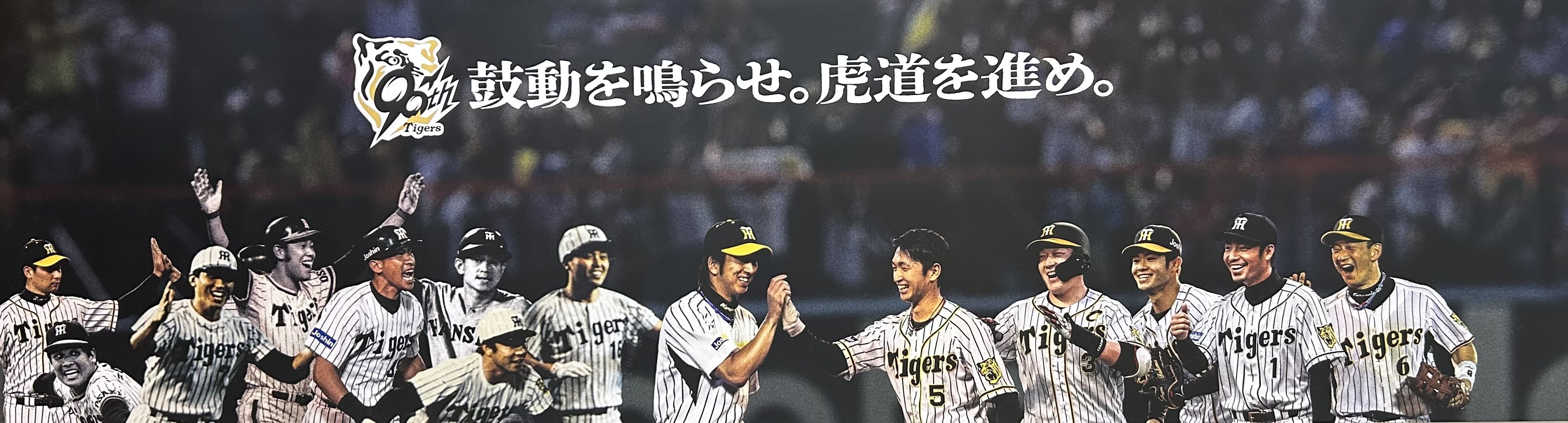 非売品】阪神タイガース 法被 黒 鼓動を鳴らせ虎動を進め。球団