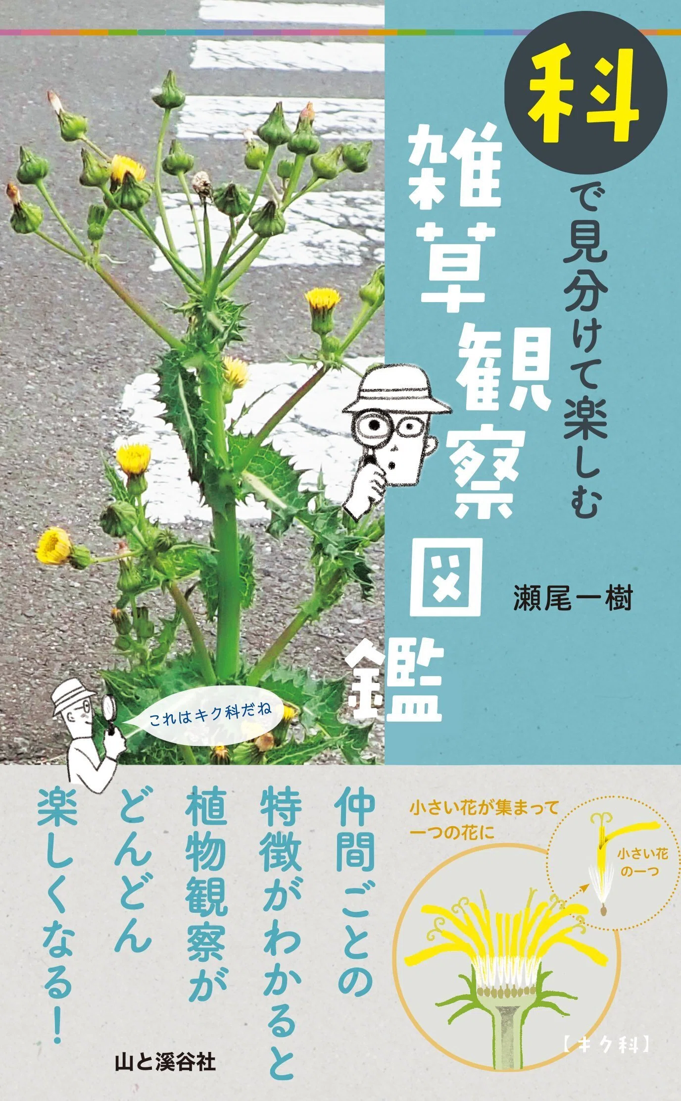 新刊のご案内【2025年1～3月発売】『科で見分けて楽しむ 雑草観察図鑑