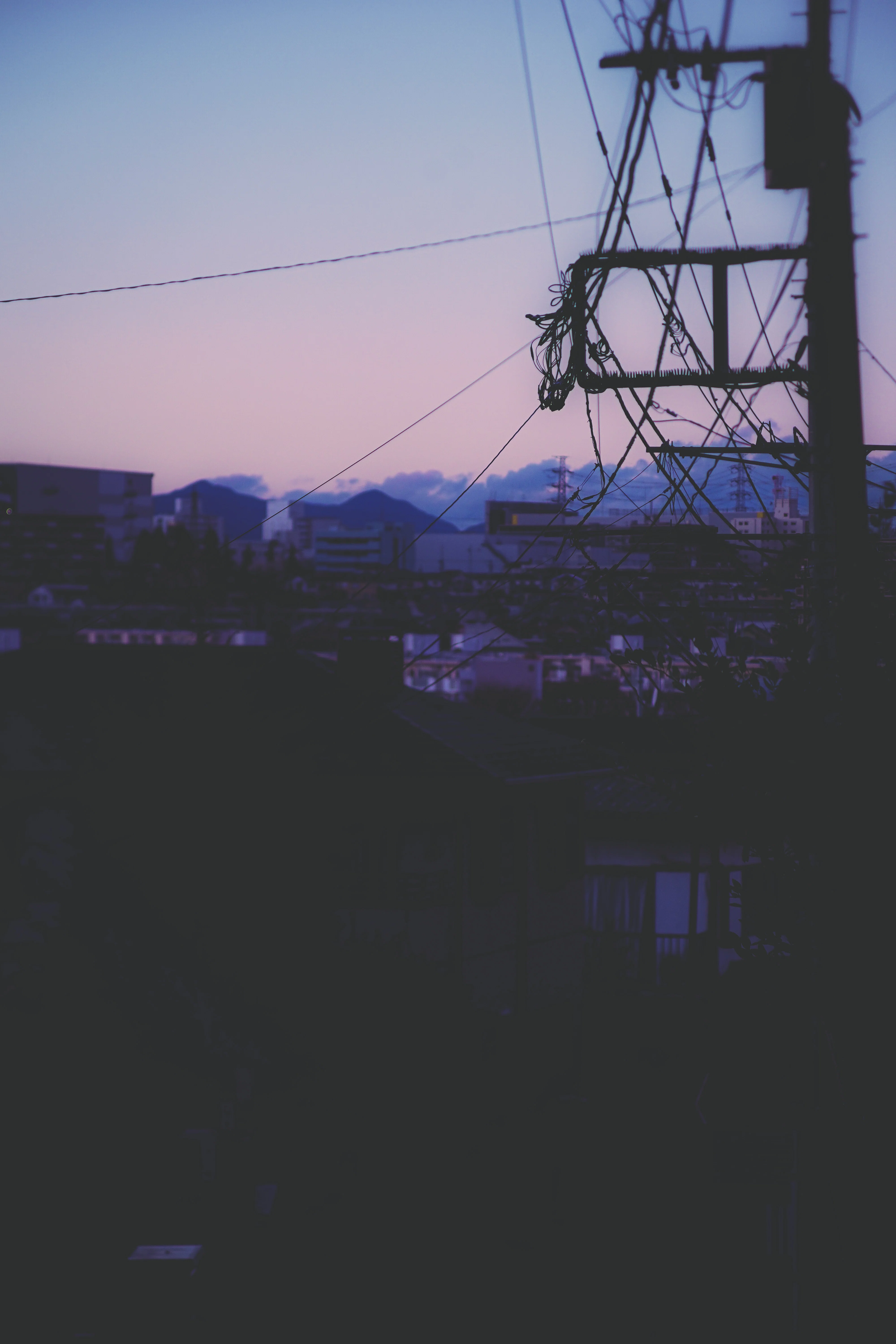 写真】おフランスのレンズでお撮りあそばせ/FOCA Teleoplar 135mm F4.5