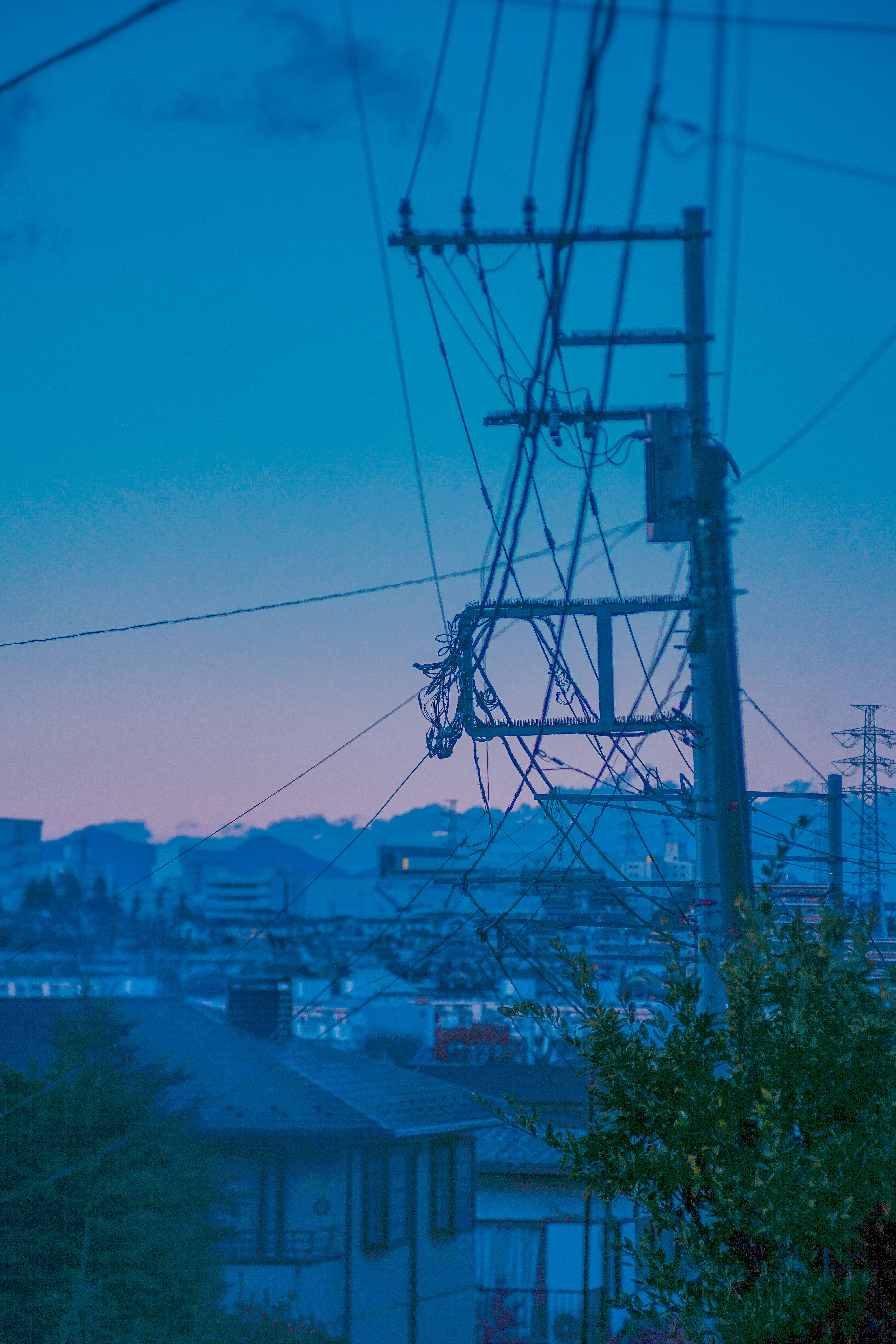 写真】おフランスのレンズでお撮りあそばせ/FOCA Teleoplar 135mm F4.5