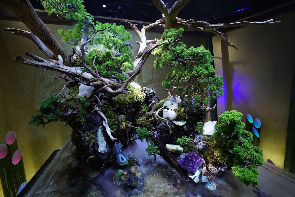 アク和リウムGA☆KYO(UWS AQUARIUM GA☆KYO)